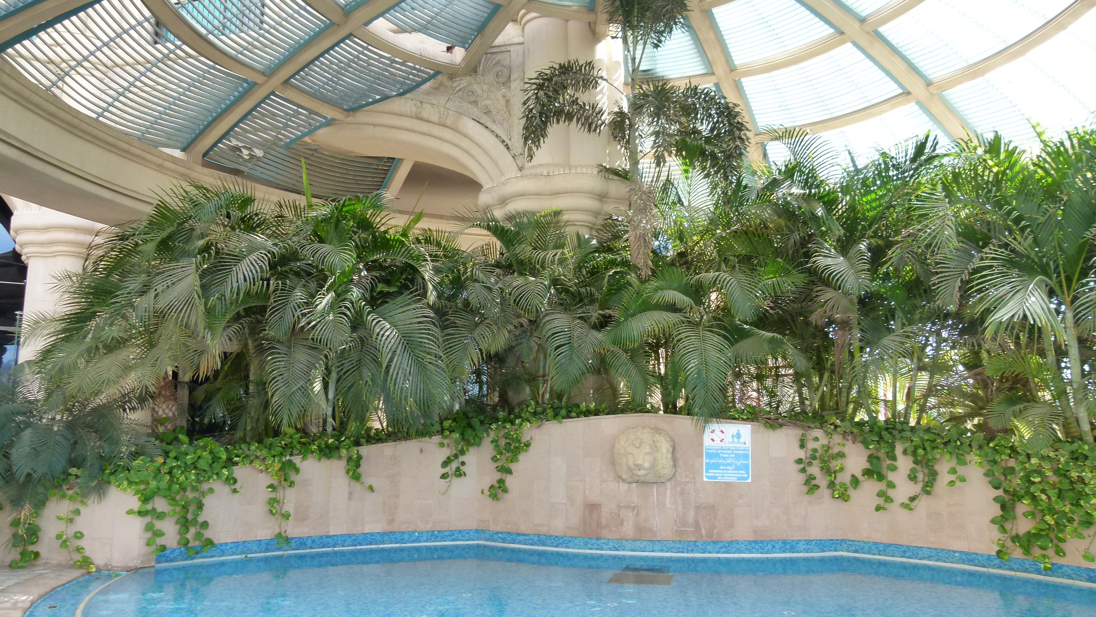 Eilat - Queen of Sheba Hotel