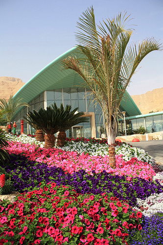 Dead Sea - Oasis Hotel lobby and spa