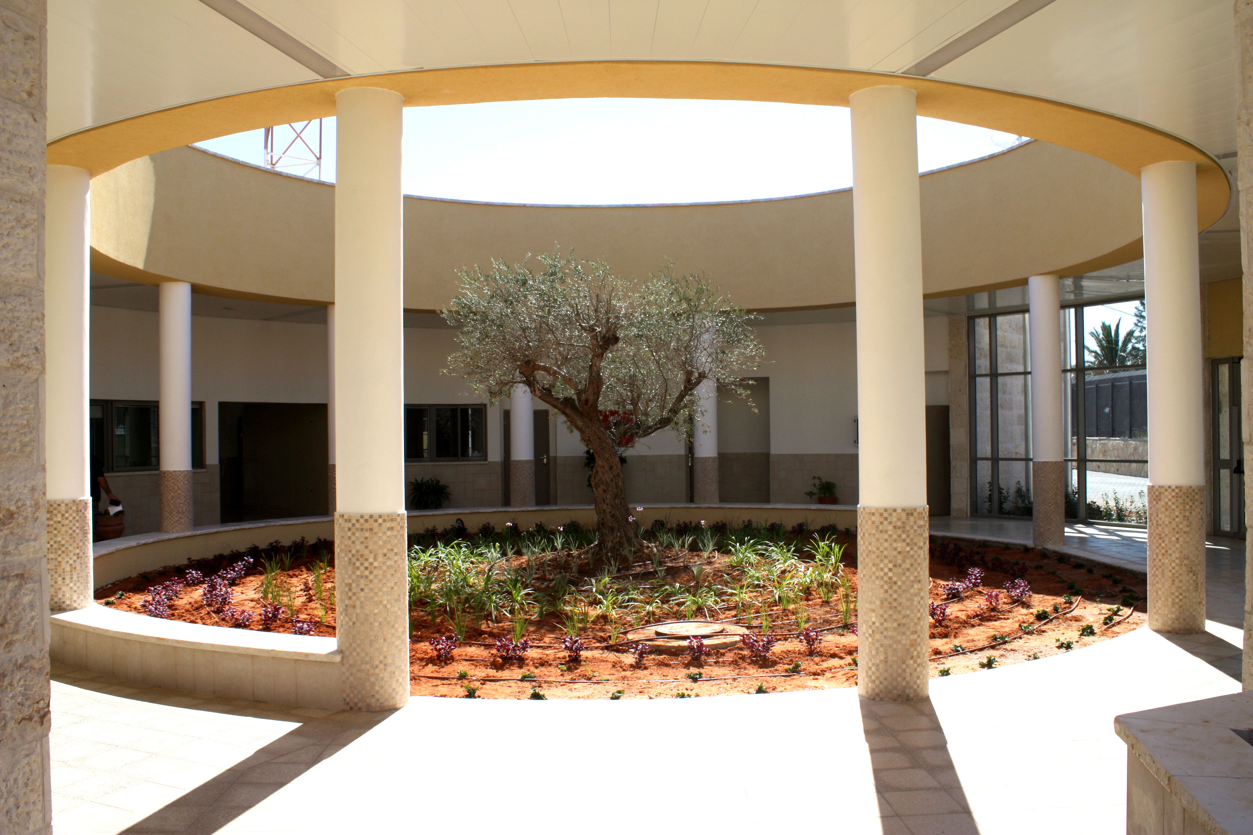 Lavona - middle school