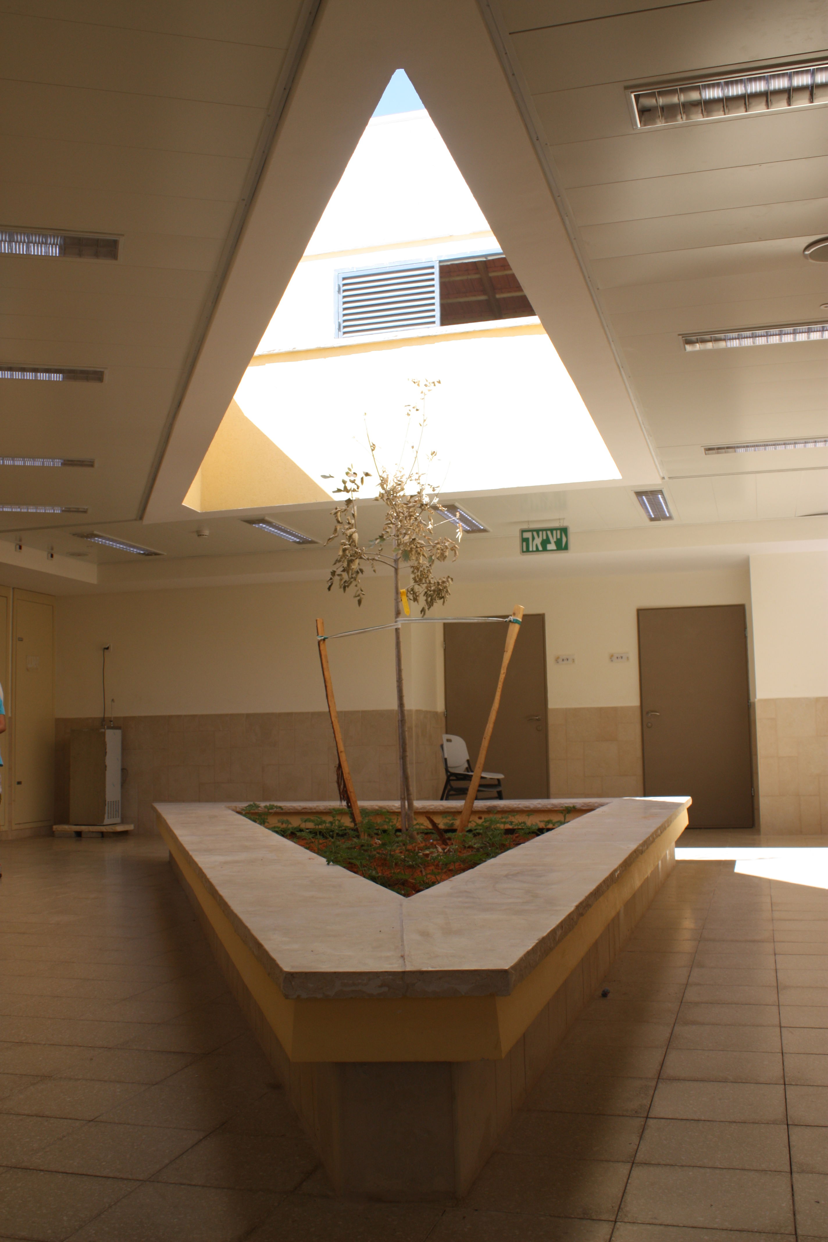 Lavona - middle school