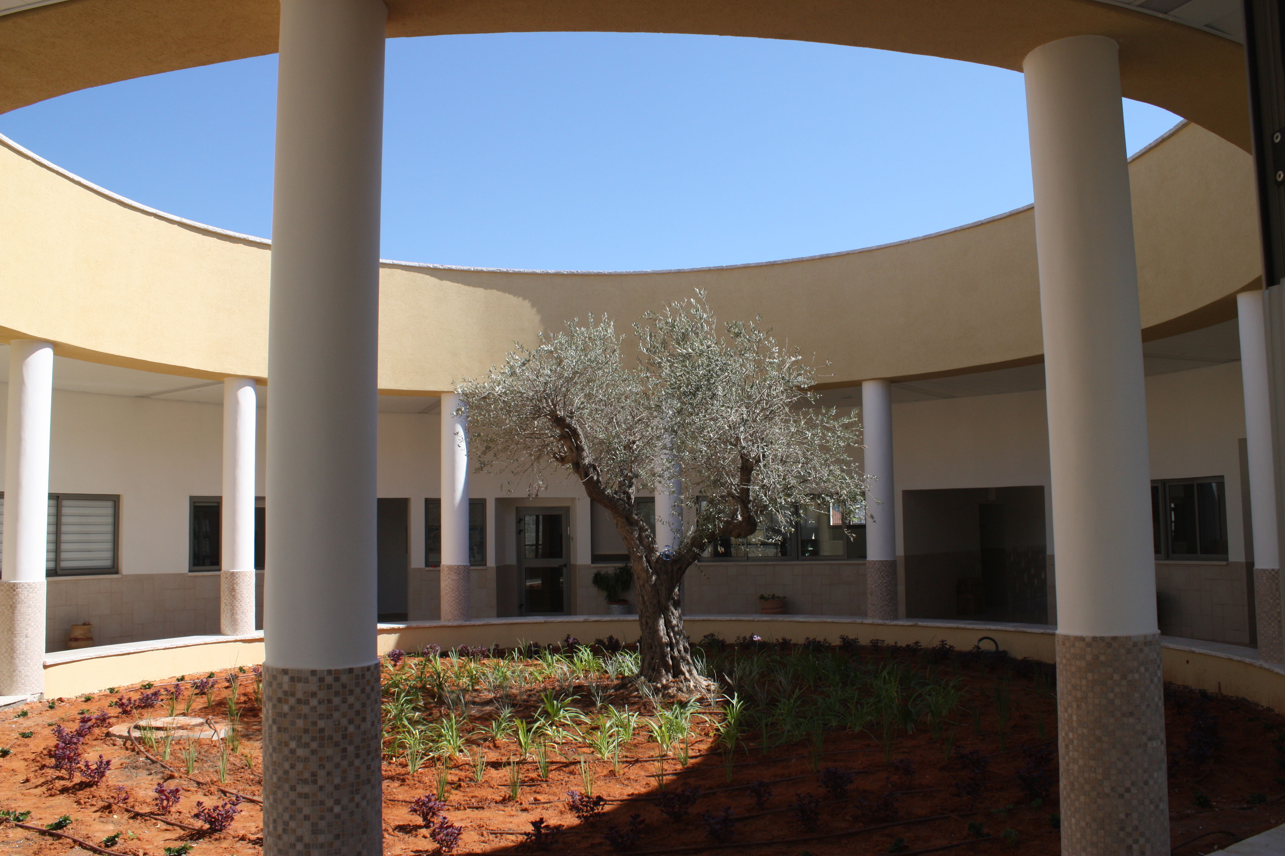 Lavona - middle school