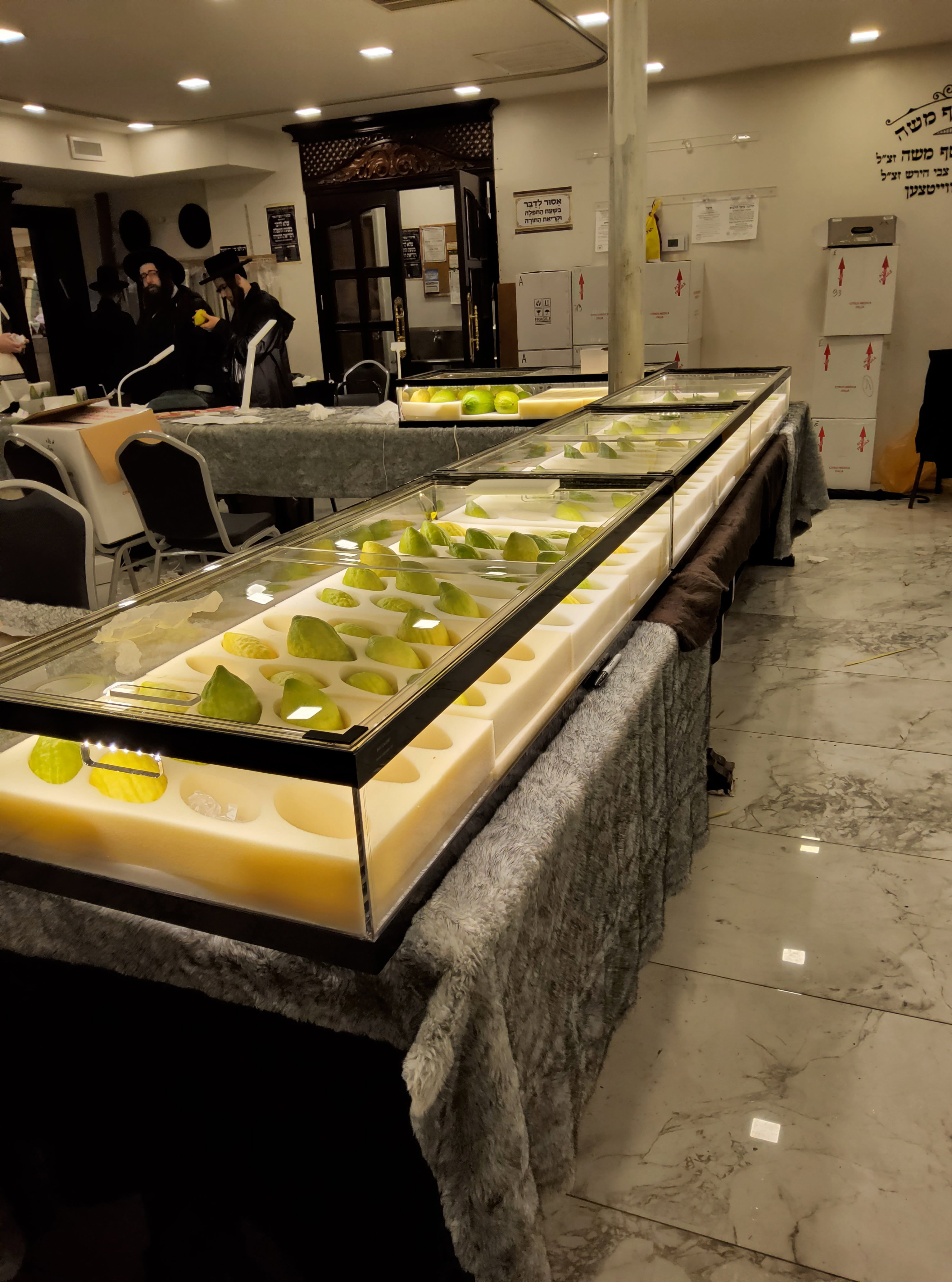 • הזמנות ממהרות בברכה! (2-3 ימים) •