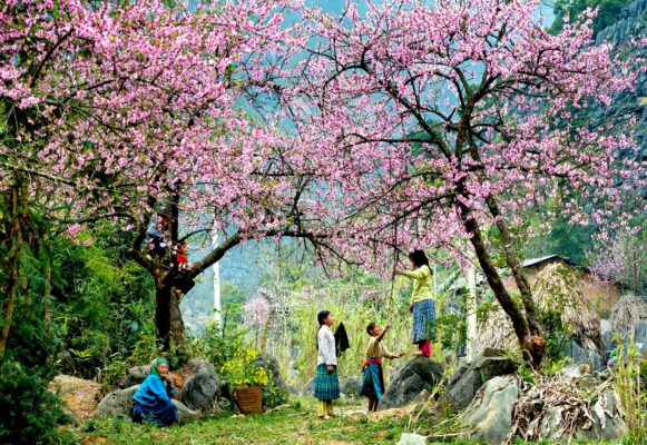 bất động sản Vân Hồ