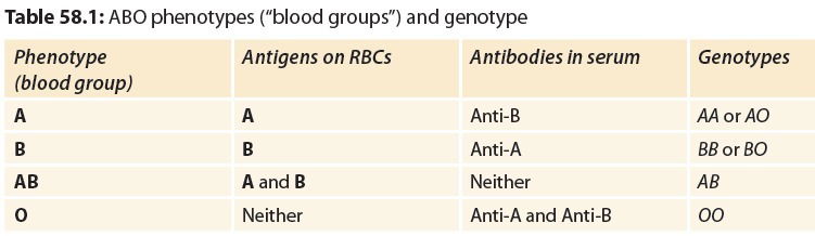 BLOOD GROUP SYSTEM 3