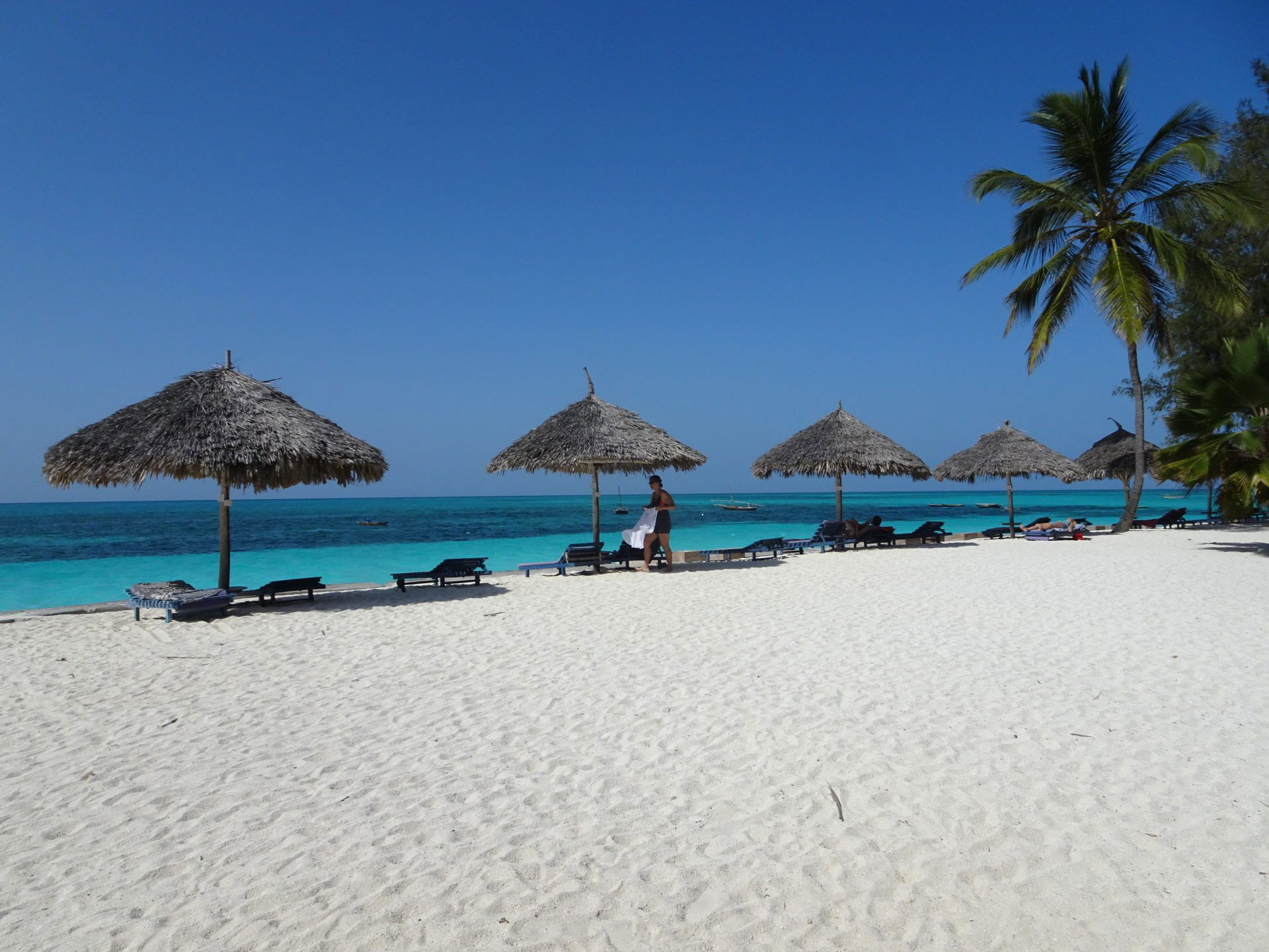 زنجبار بالصور