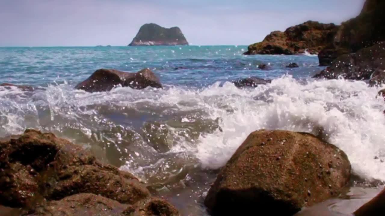 Whalers Sealers And Traders In Nz at Gregory Abbott blog