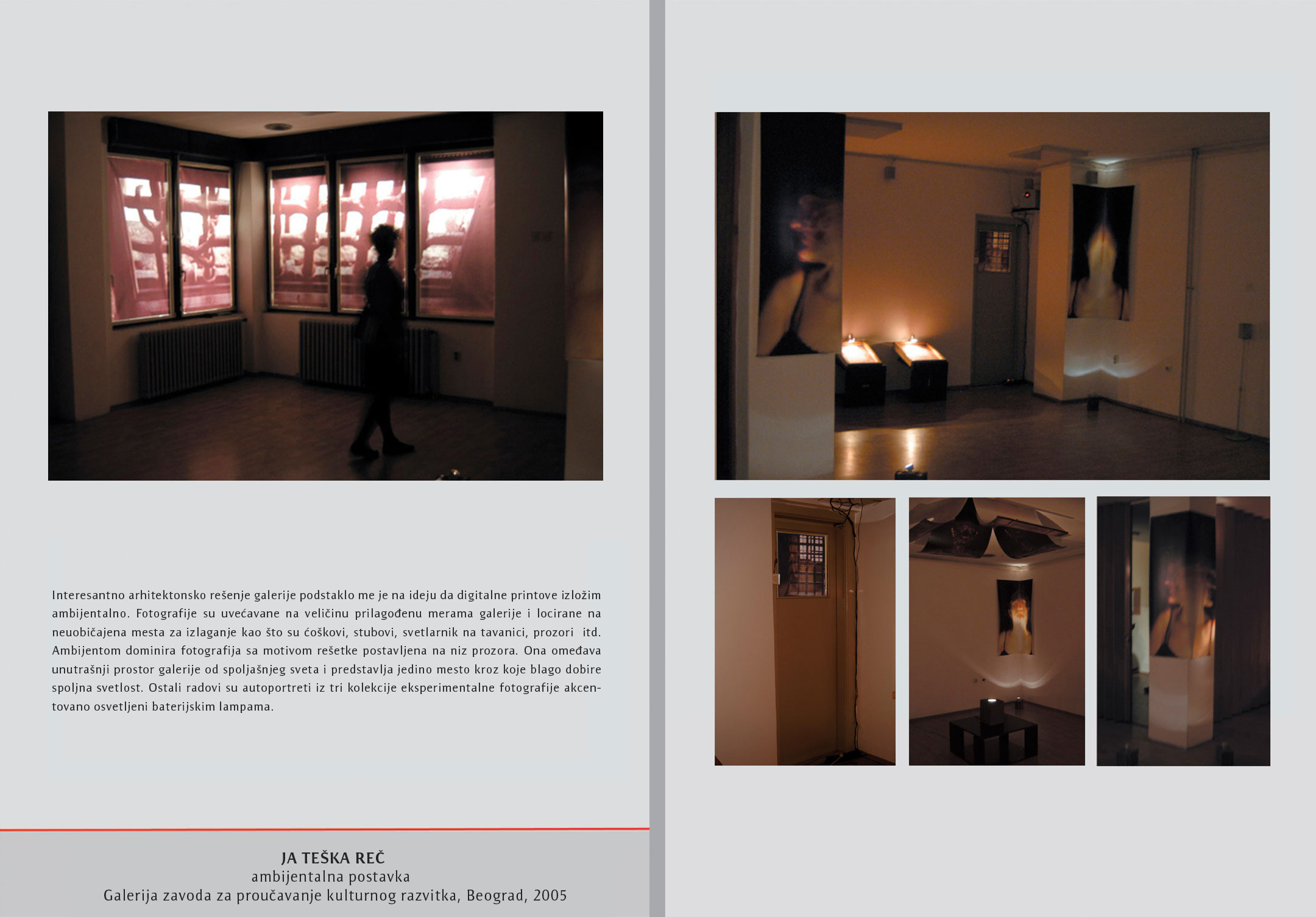 Gallery of the Institute for the Study of Cultural Development, Belgrade, 2005