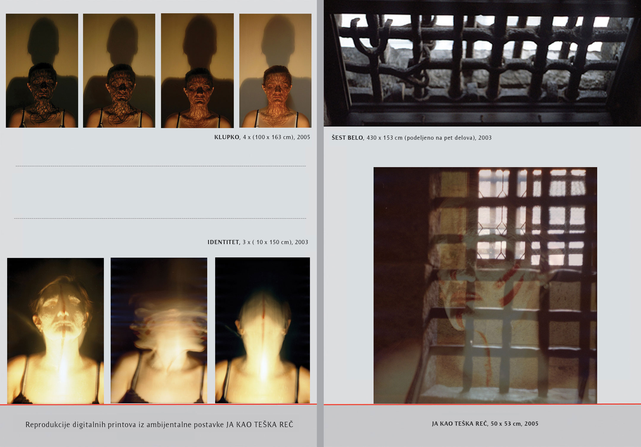 Gallery of the Institute for the Study of Cultural Development, Belgrade, 2005