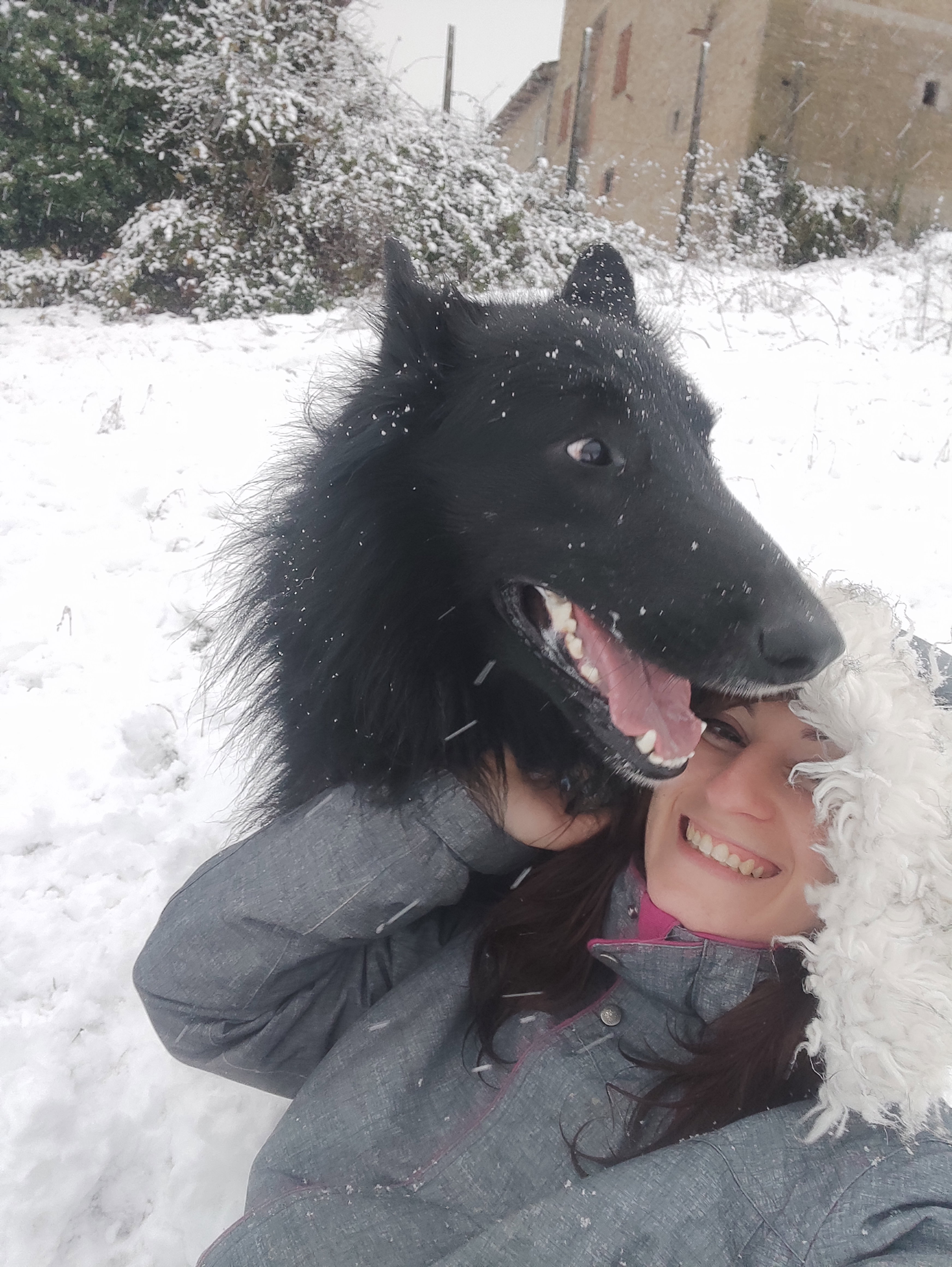 MARE NUBIUM of the Path of Dreams