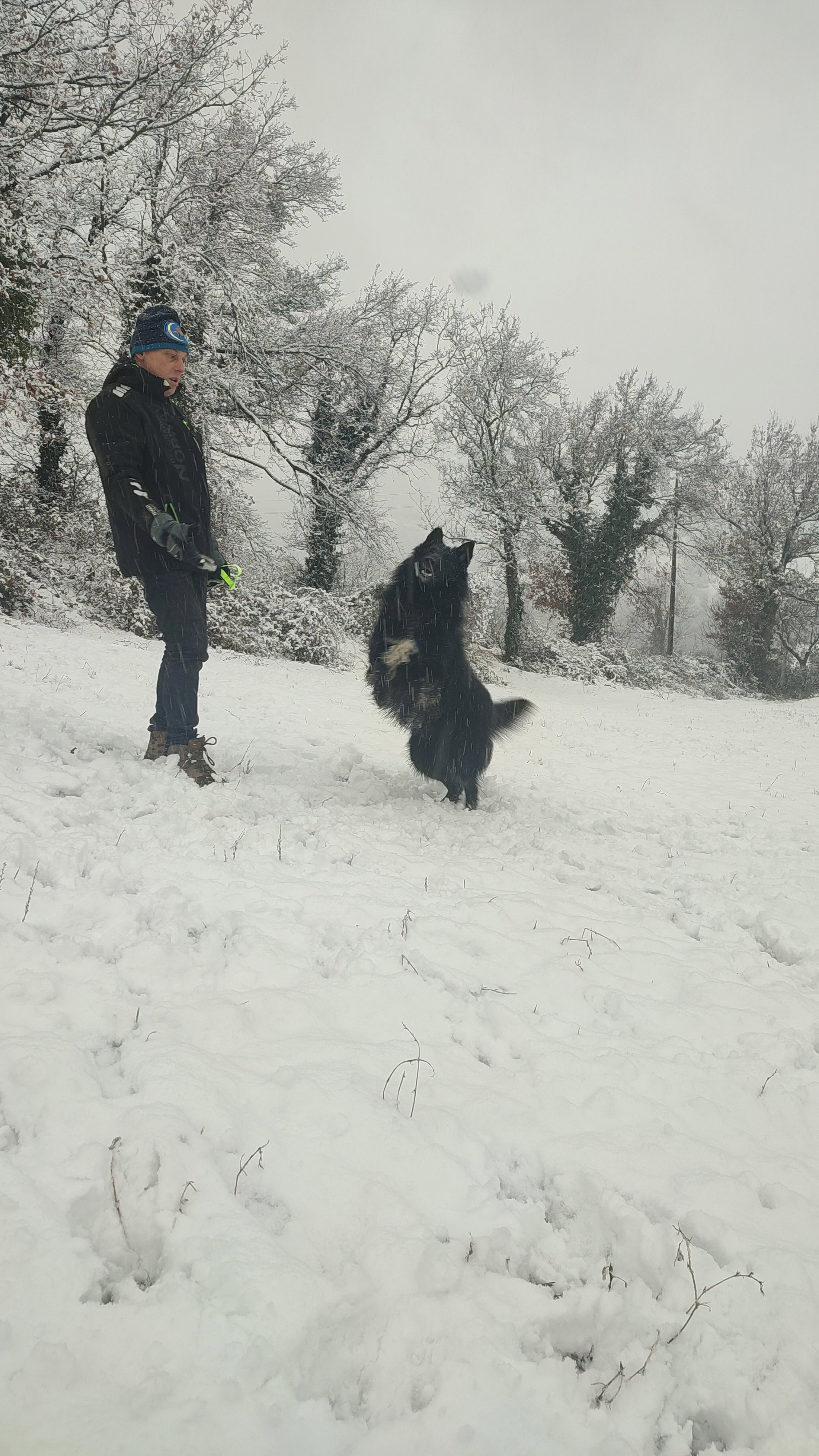 MARE NUBIUM of the Path of Dreams