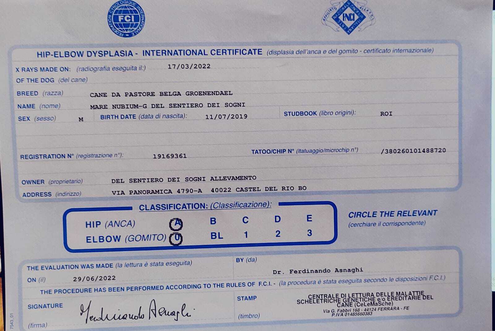 MARE NUBIUM of the Path of Dreams