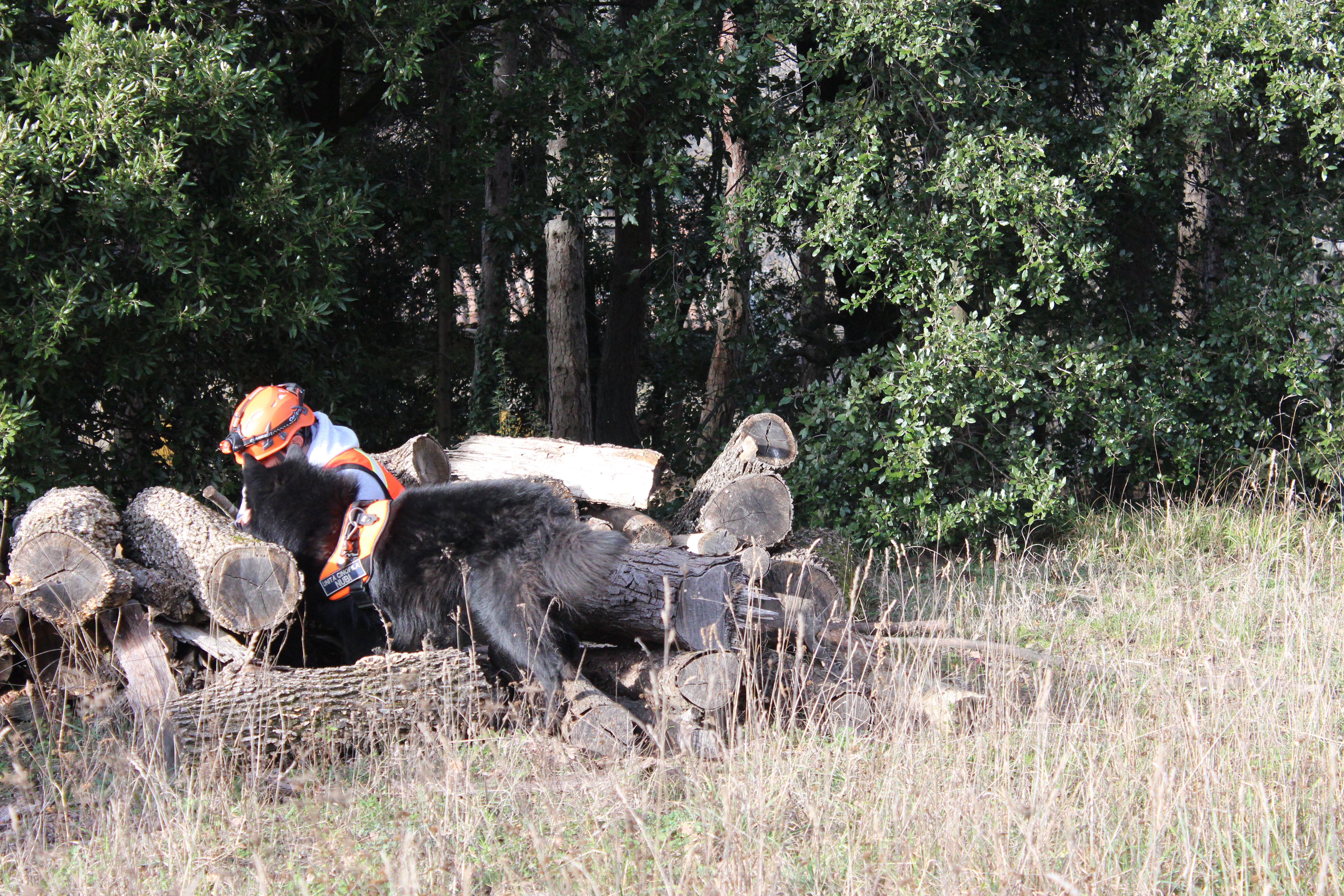 Mare Nubium of the Path of Dreams