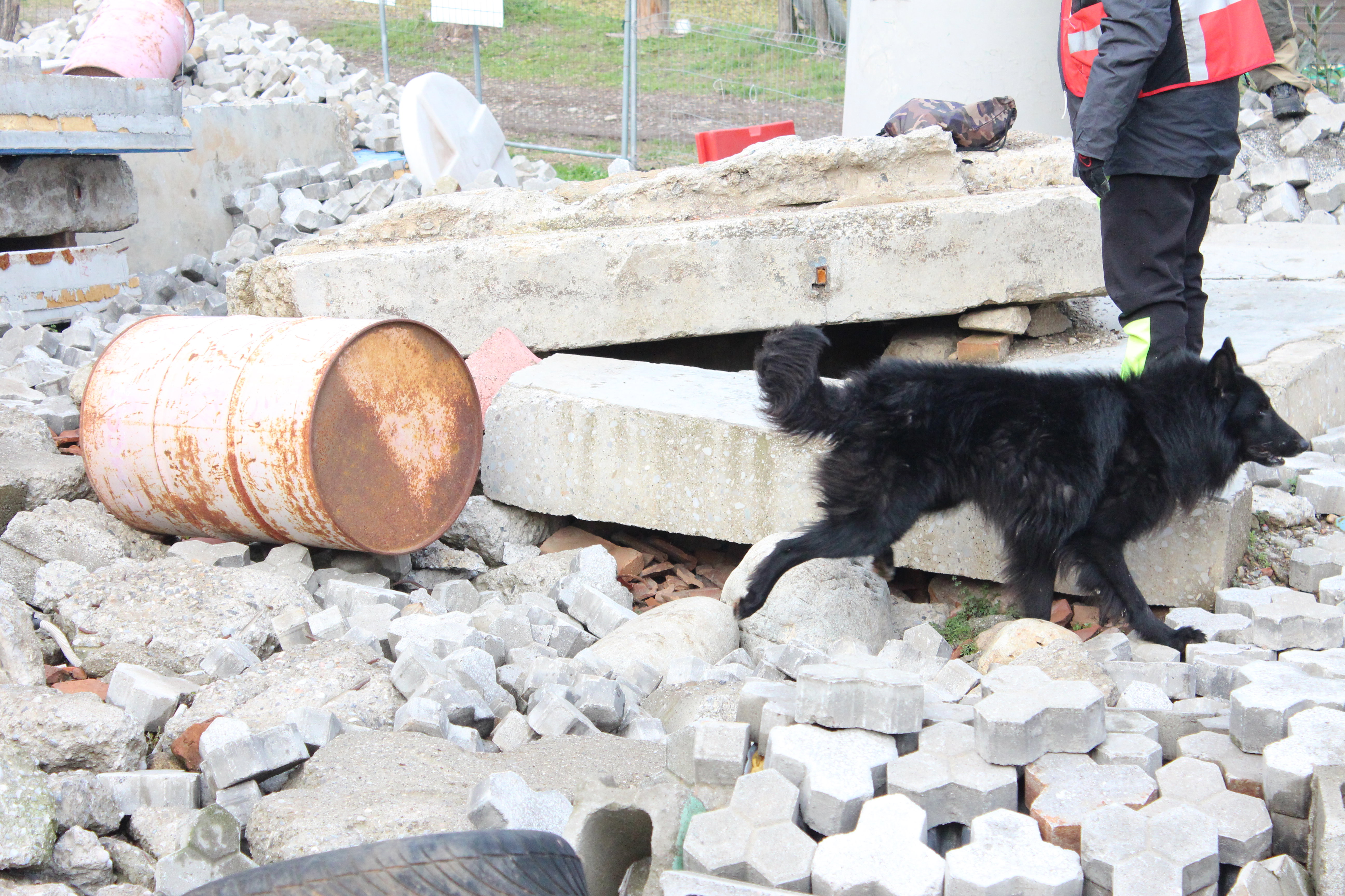 Mare Nubium of the Path of Dreams