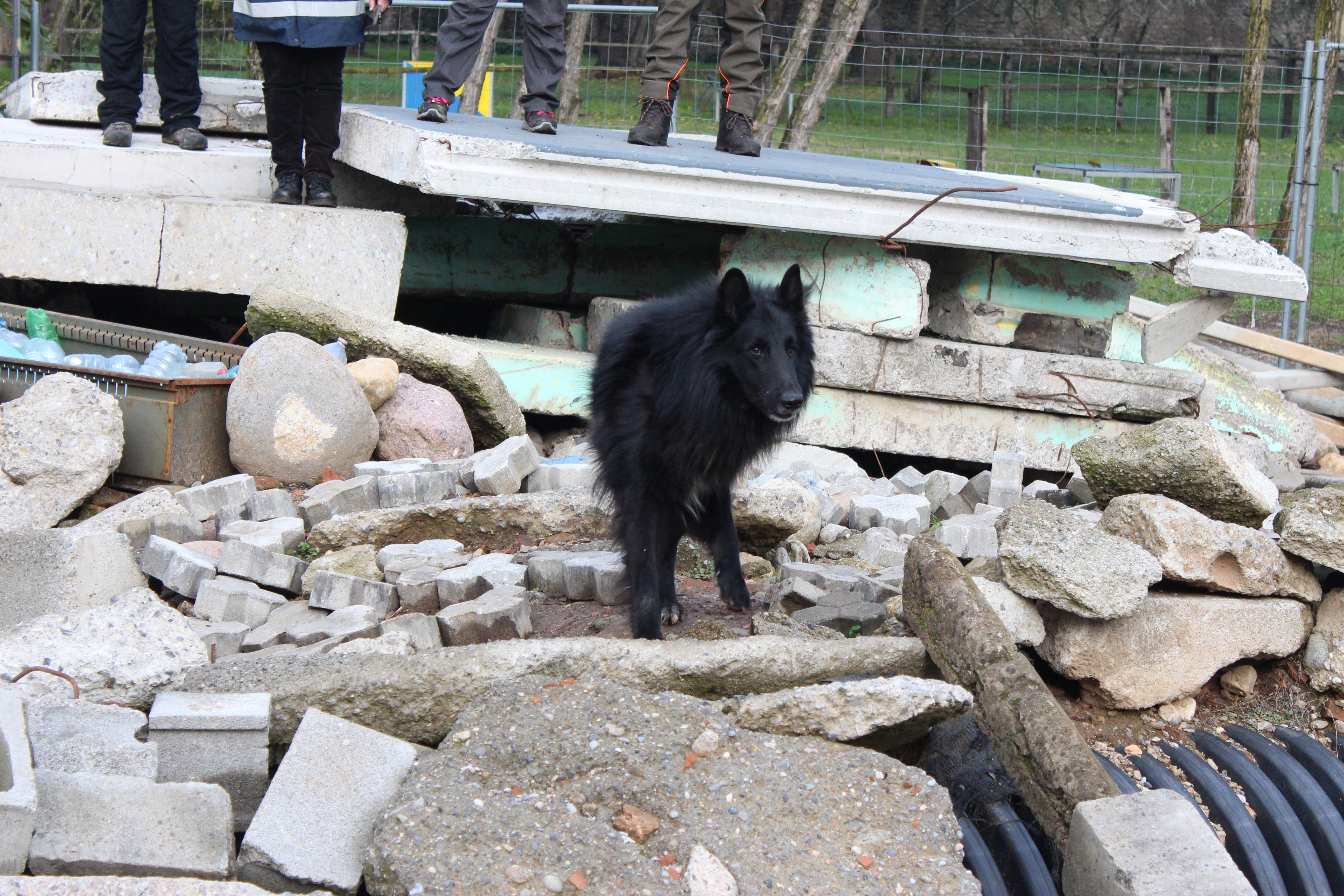 Mare Nubium of the Path of Dreams