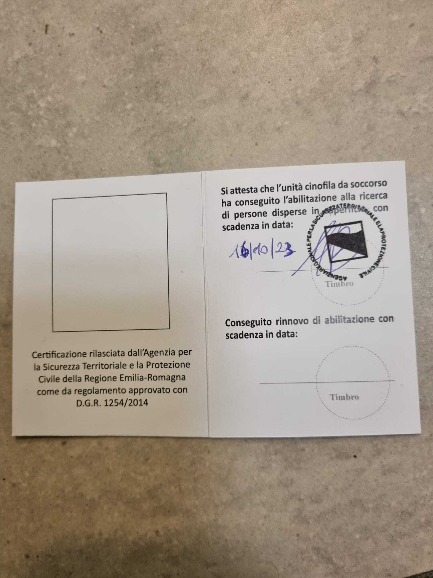 Bones of the Path of Dreams