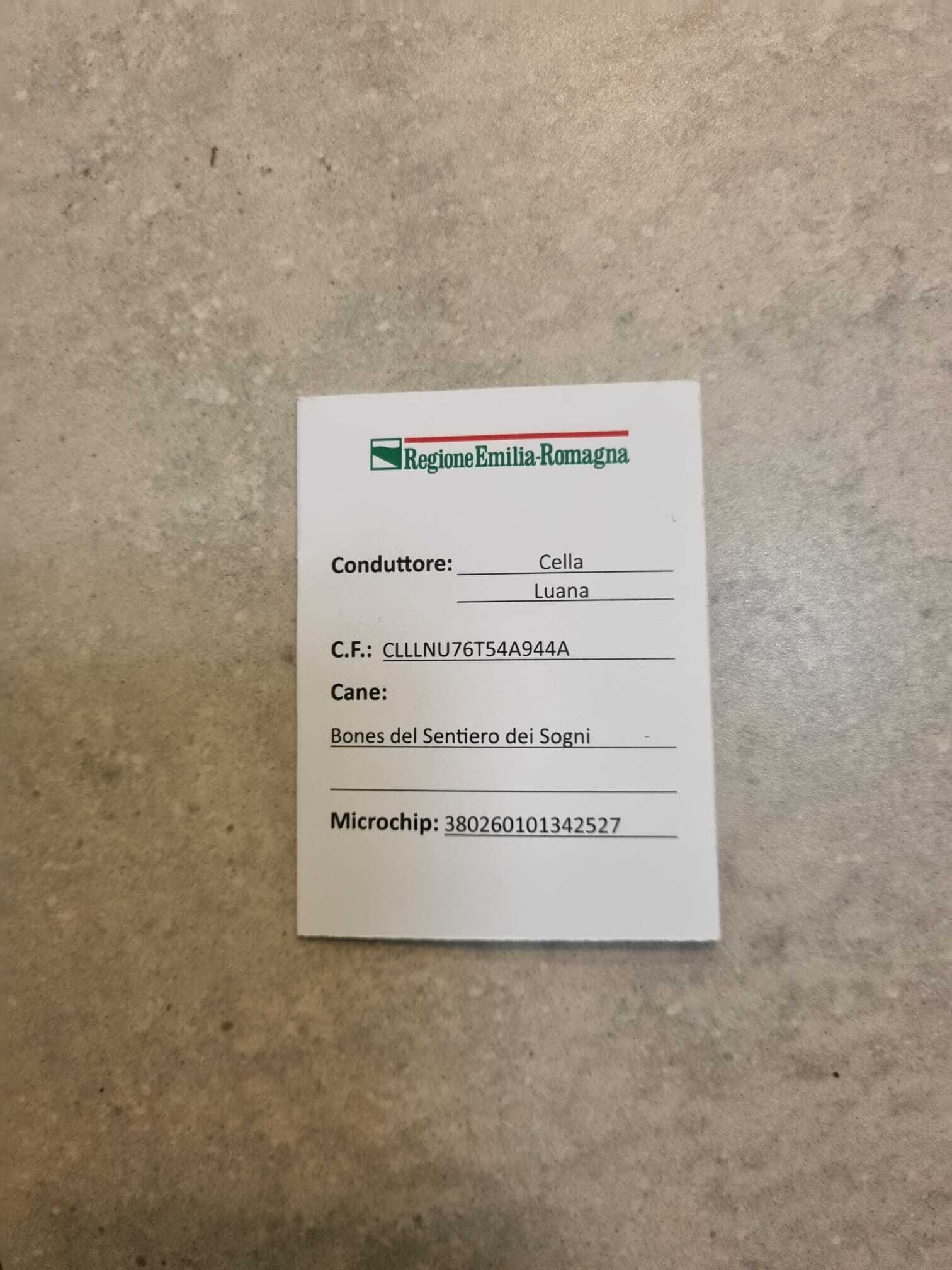 Bones of the Path of Dreams