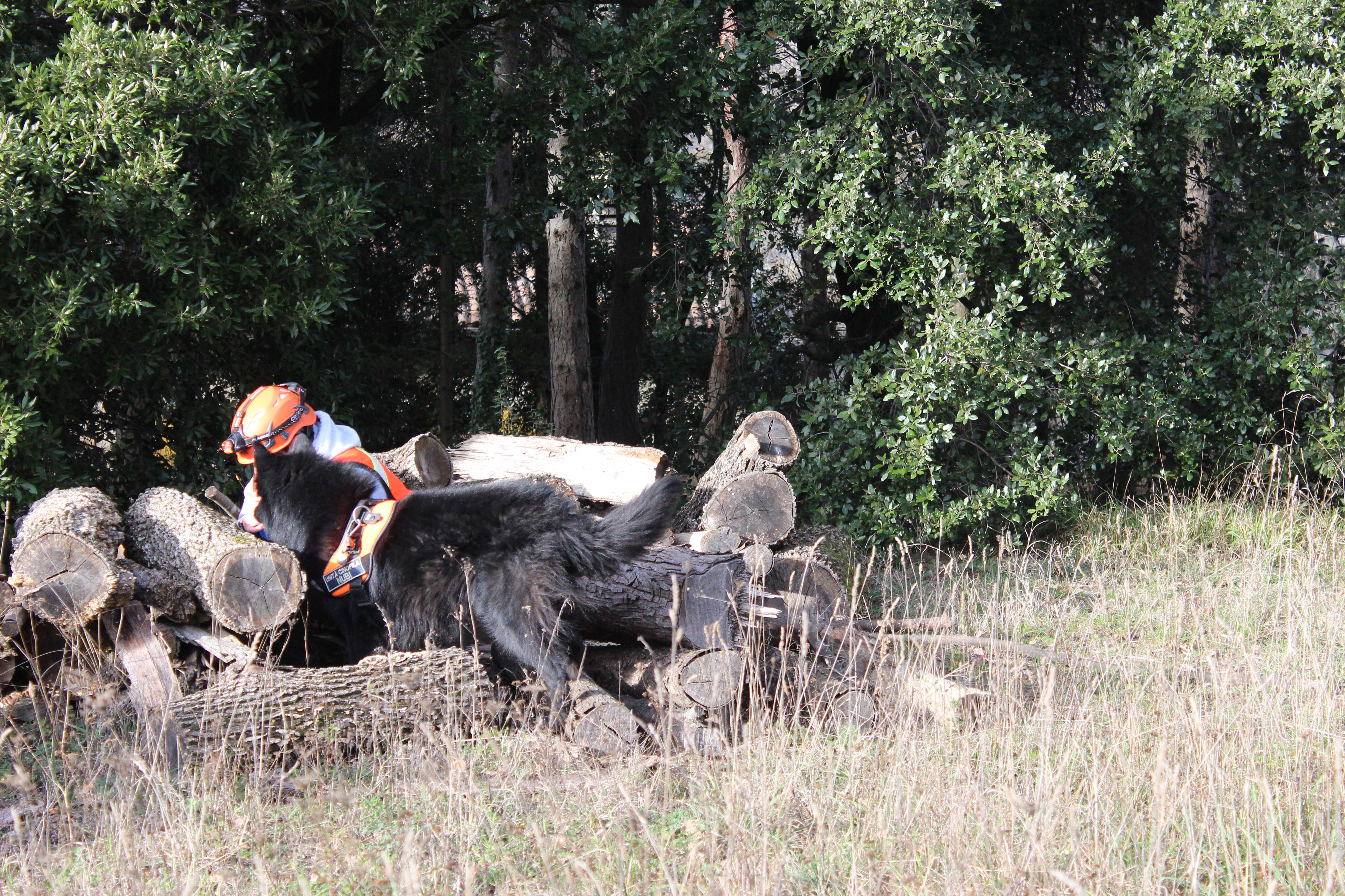 Mare Nubium of the Path of Dreams