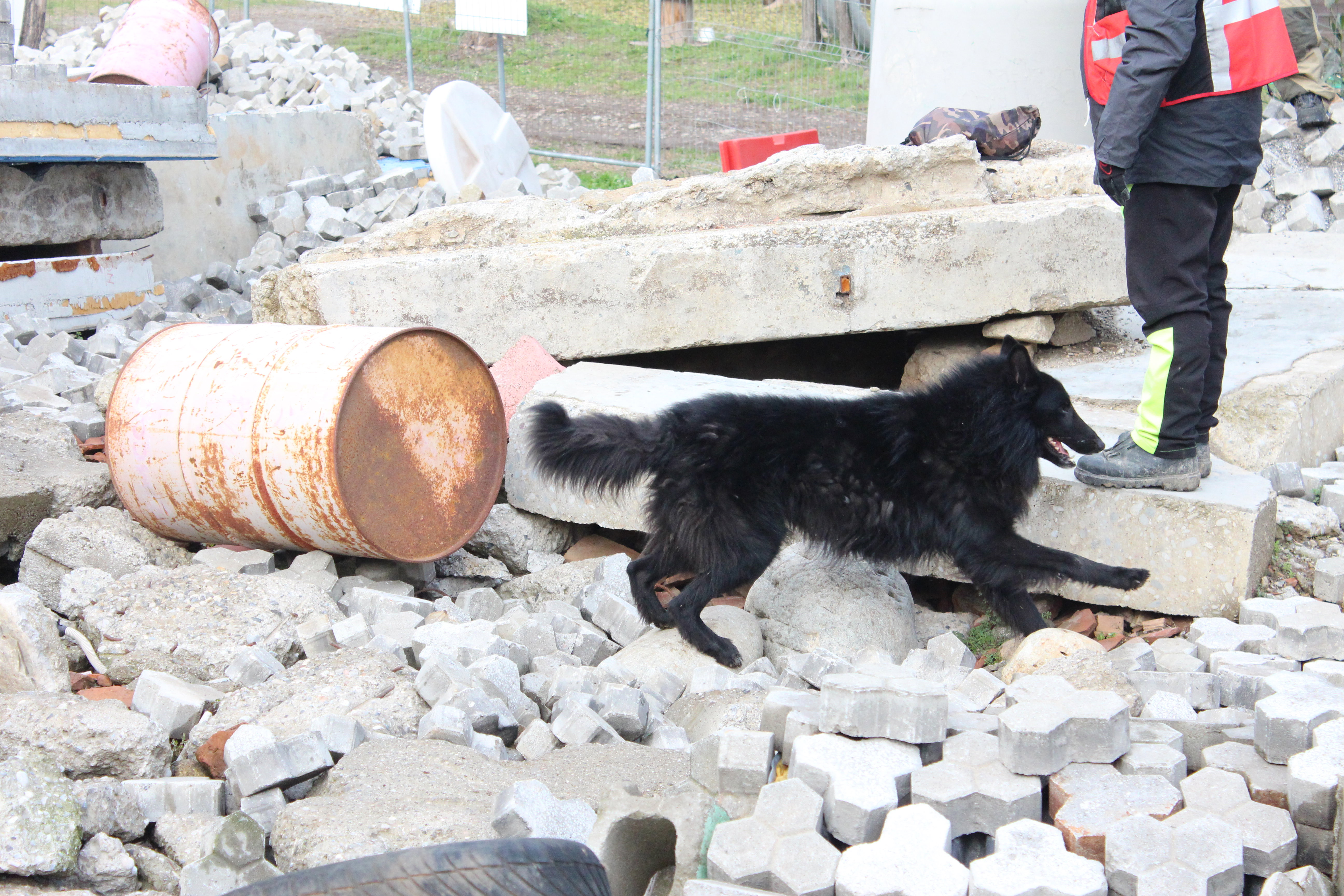 Mare Nubium of the Path of Dreams