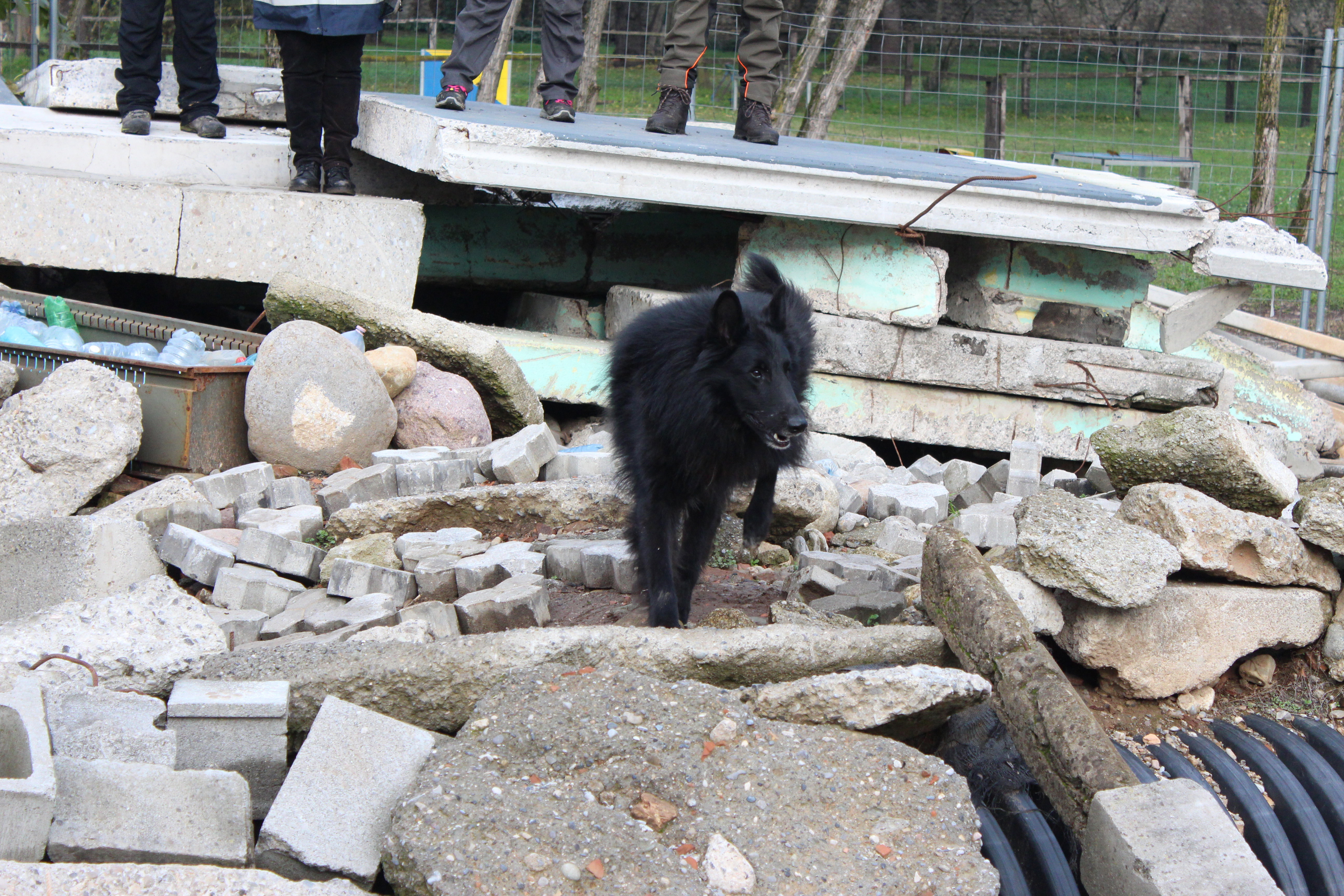 Mare Nubium of the Path of Dreams