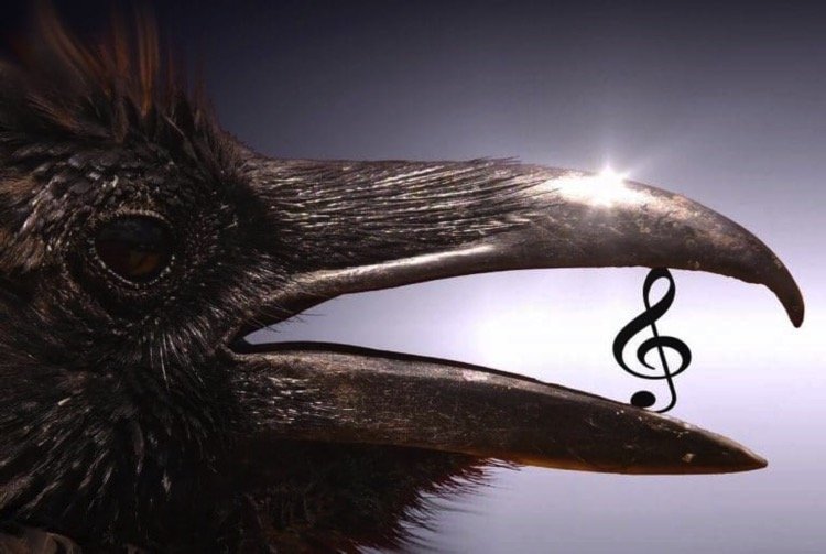 The splendid profile of a raven holding a musical key / treble clef in it's light reflecting shining beak to emphasize the theme of Destiny in many historical and modern works of music