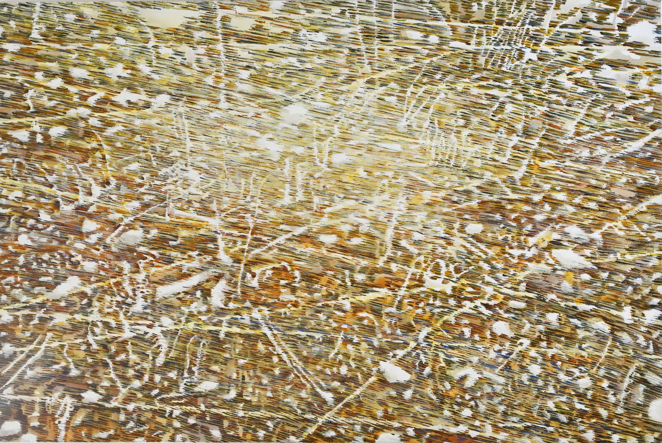 Field 1, 2021, oil and acrylic on canvas, 200x300 cm