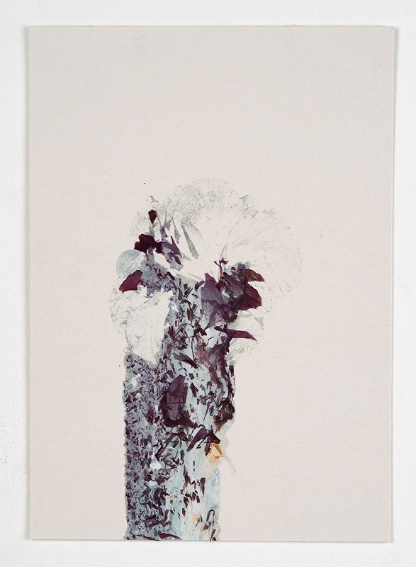 Hibiscus #3, 2023, 20_30 cm, Monotype