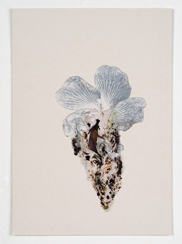 Hibiscus #7, 2023, 20_30 cm, Monotype