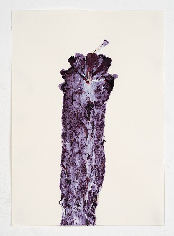 Hibiscus #1, 2023, 20_30 cm, Monotype