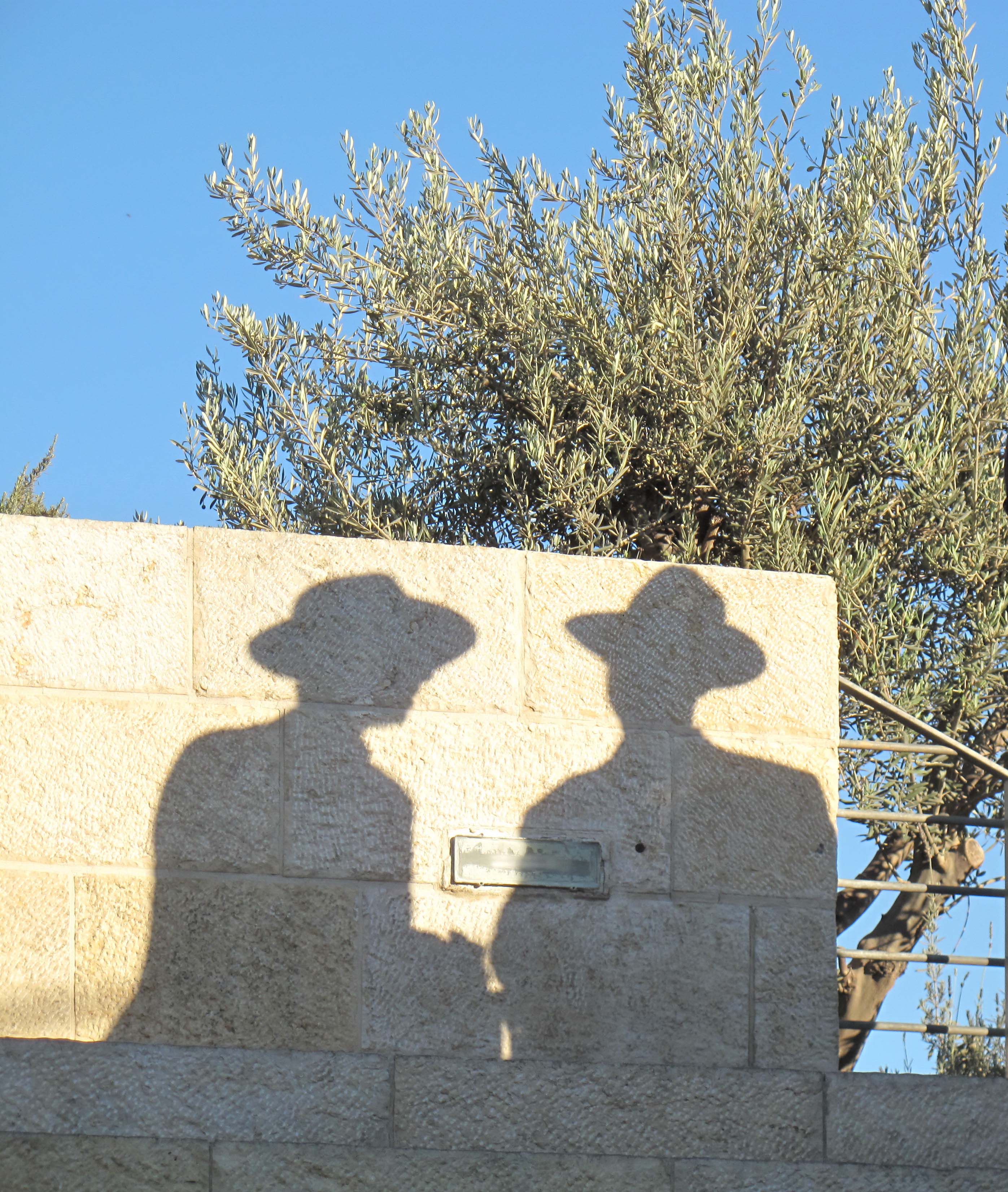 Landscape photography and works.