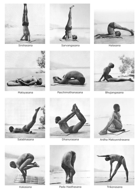 Yoga Tips for All