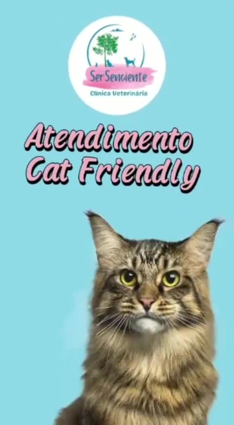Vídeo Único thumbnail