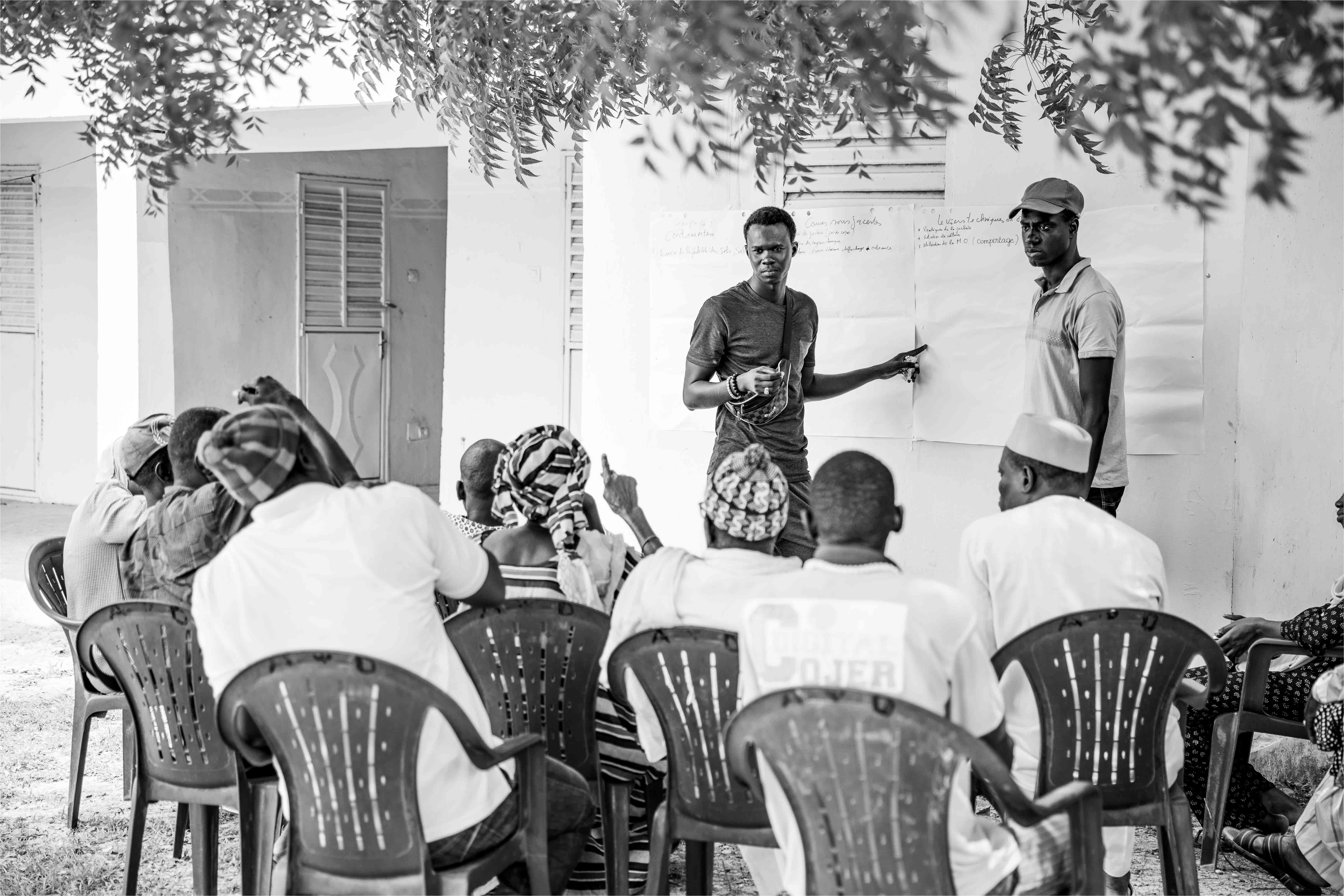 Participation organisée