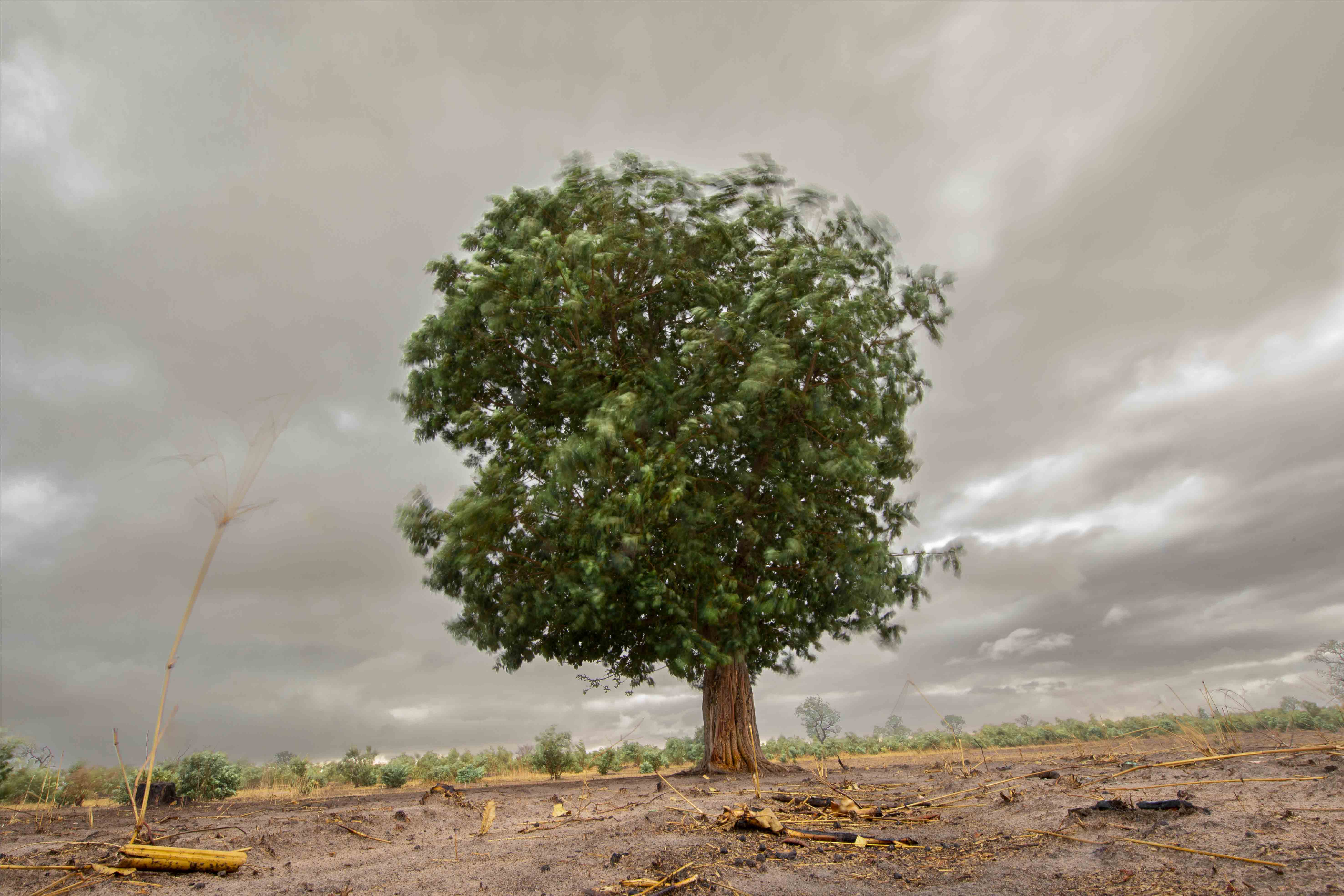 Événements météorologiques extrêmes