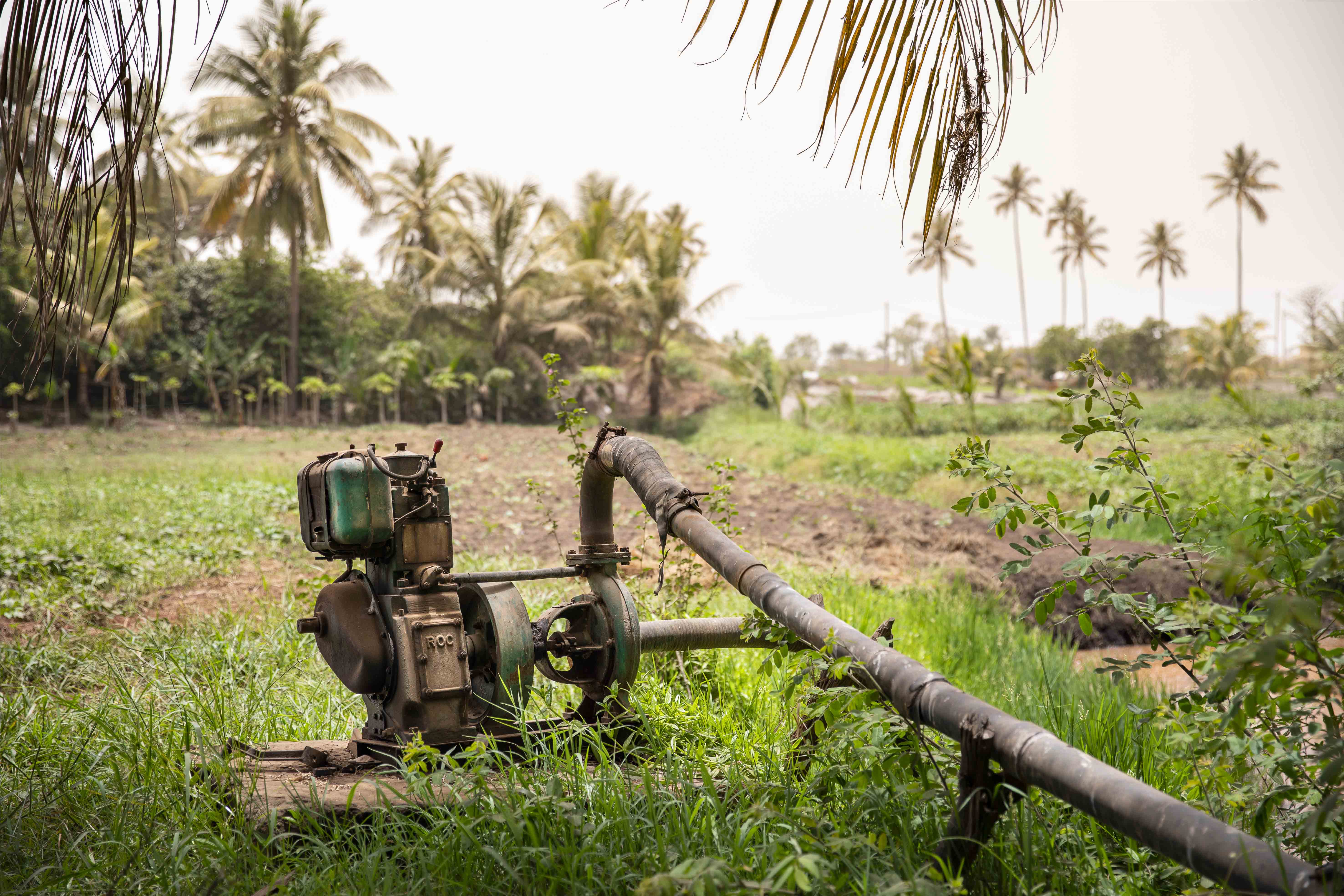 Forages et motopompes