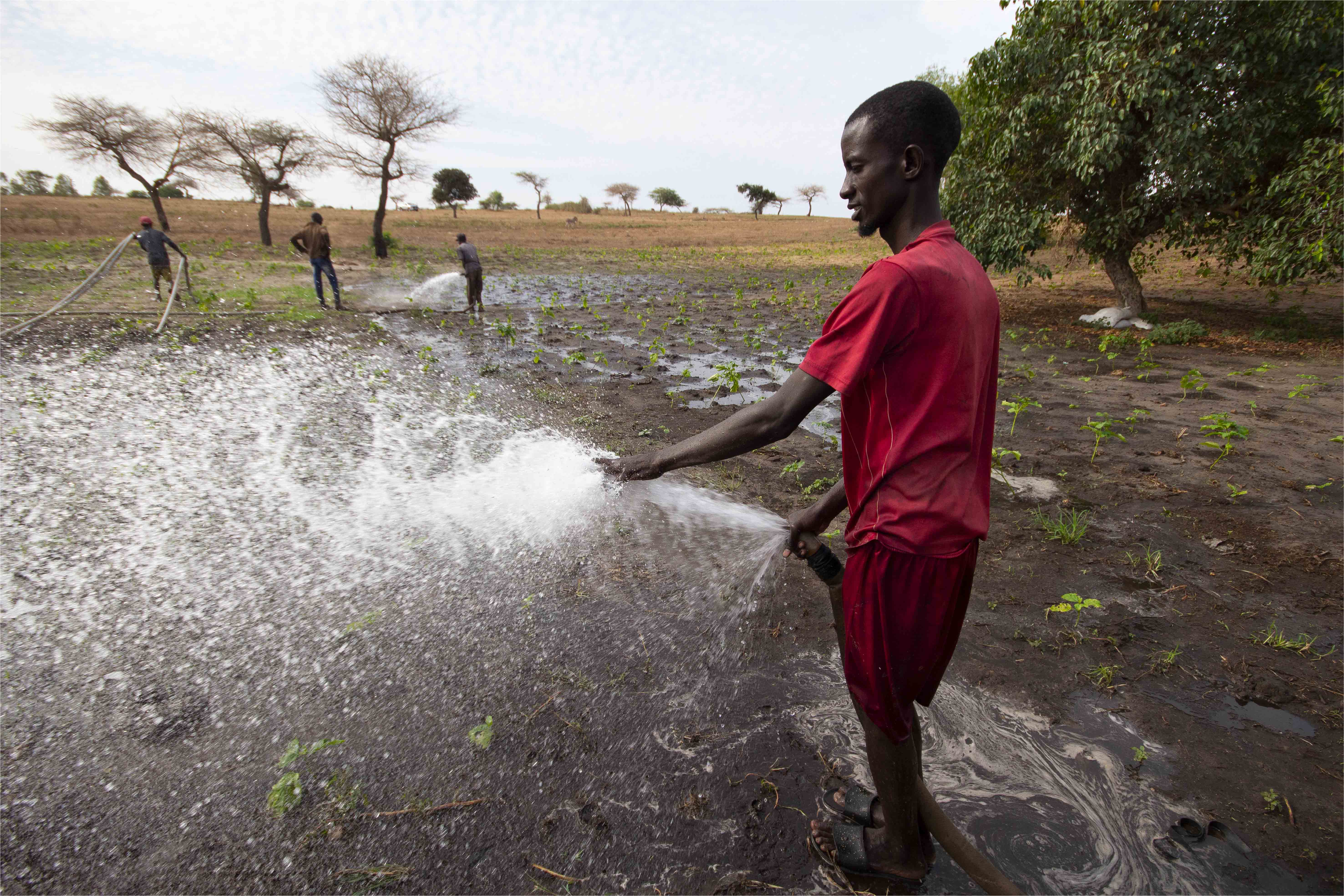 Forages et motopompes