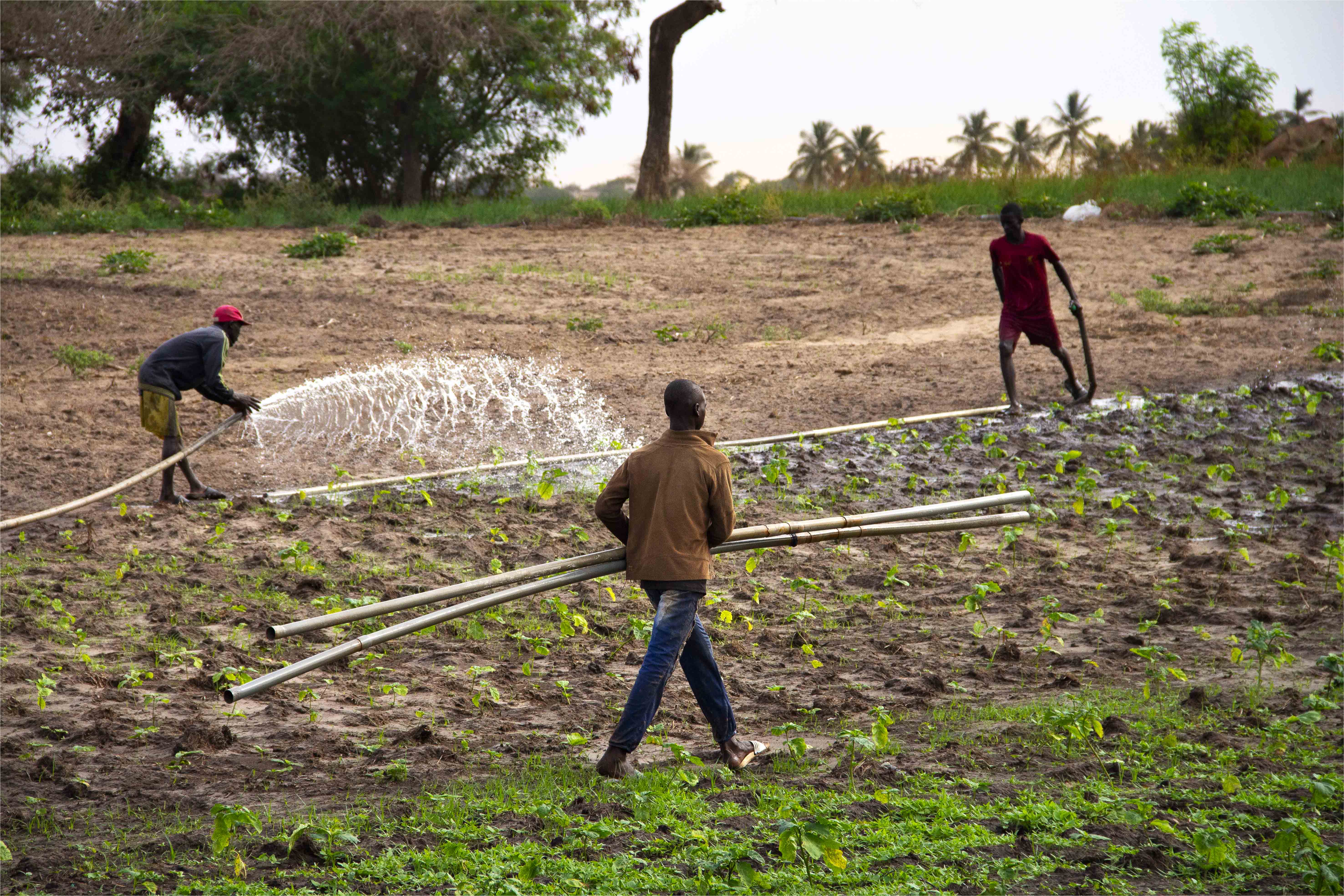 Forages et motopompes