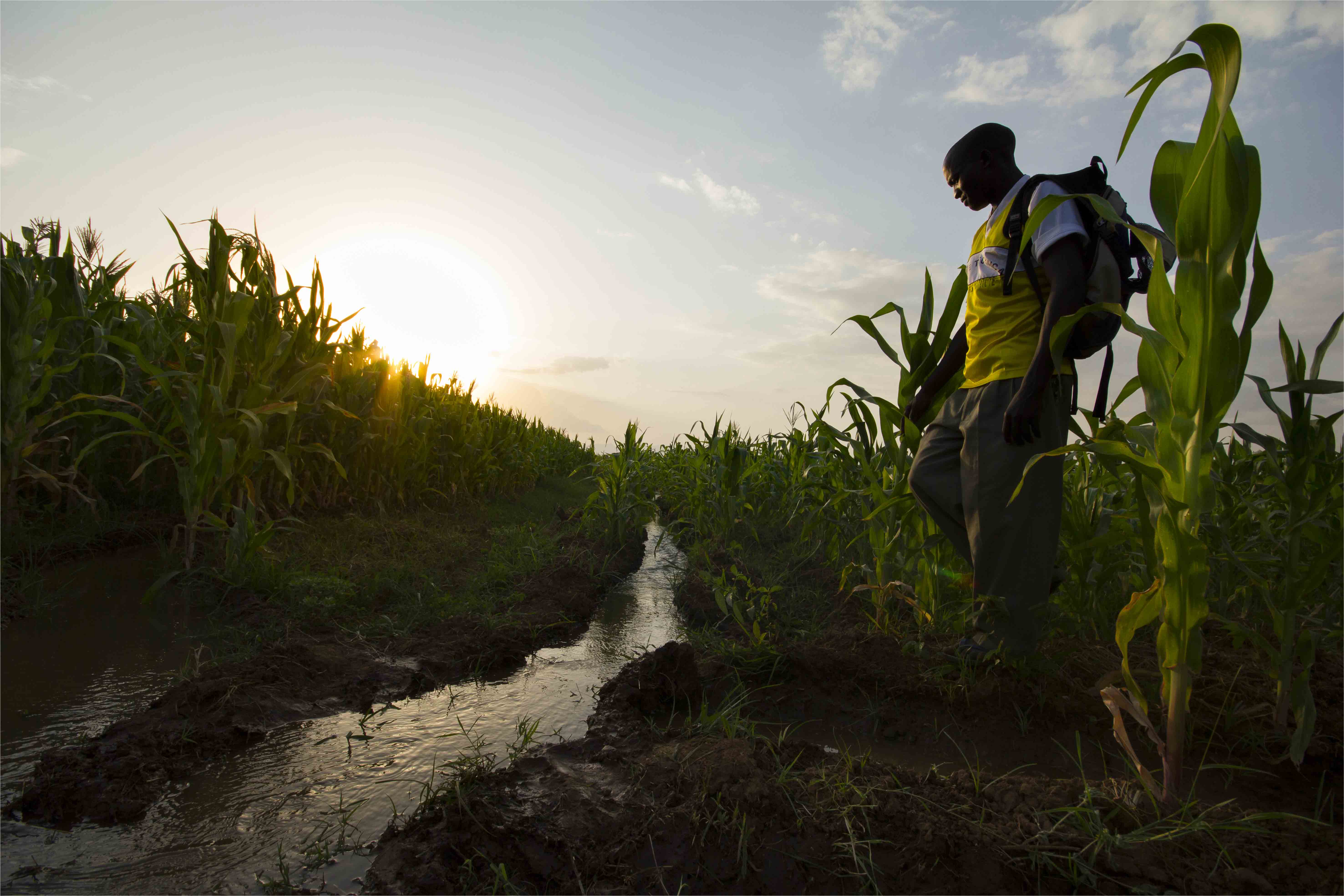 Changement climatique, sur-pompage, pollution chronique... les agriculteurs du Sahel sont impuissants face à l'épuisement de leur eau si précieuse.