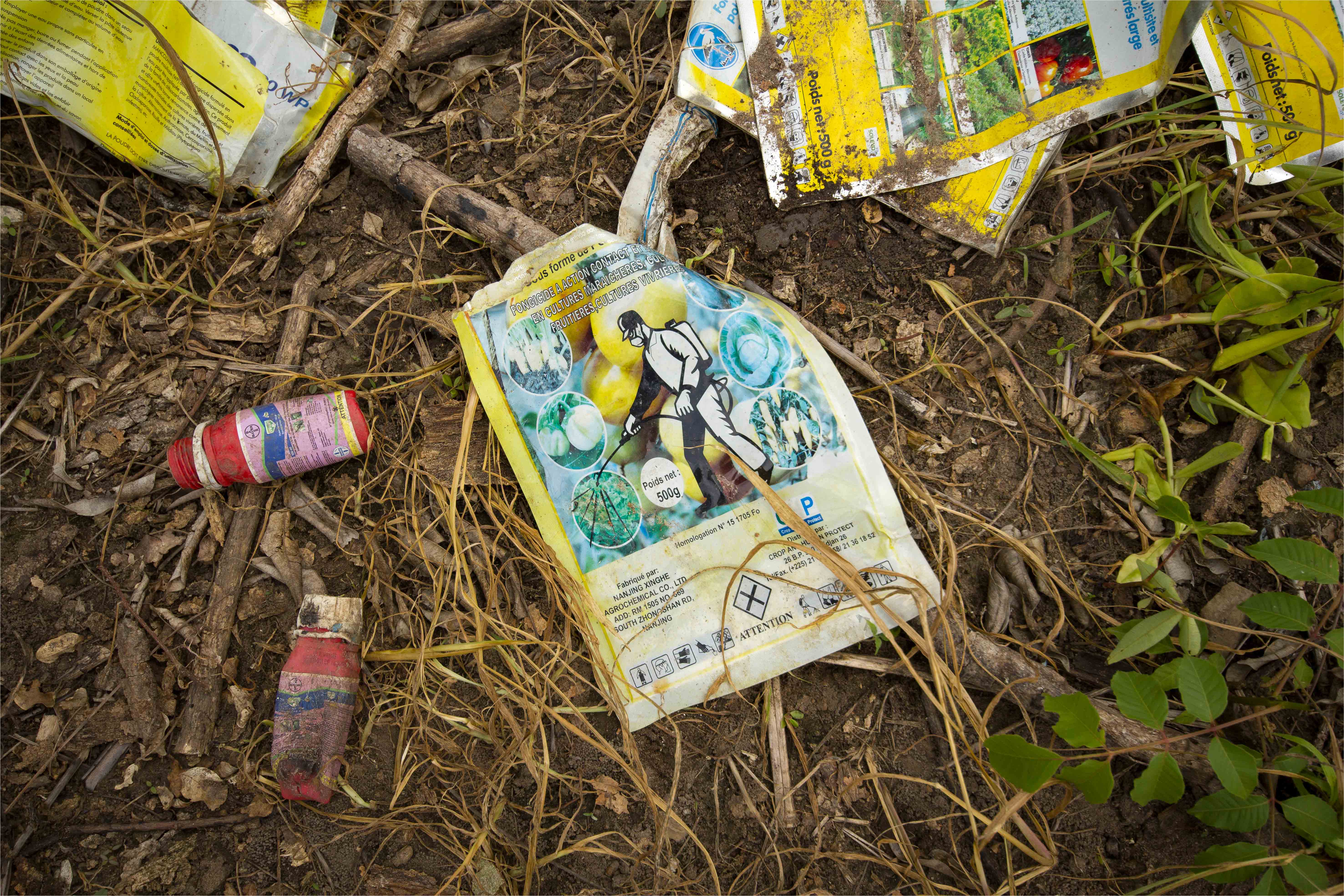 Le marché des pesticides en plein essor