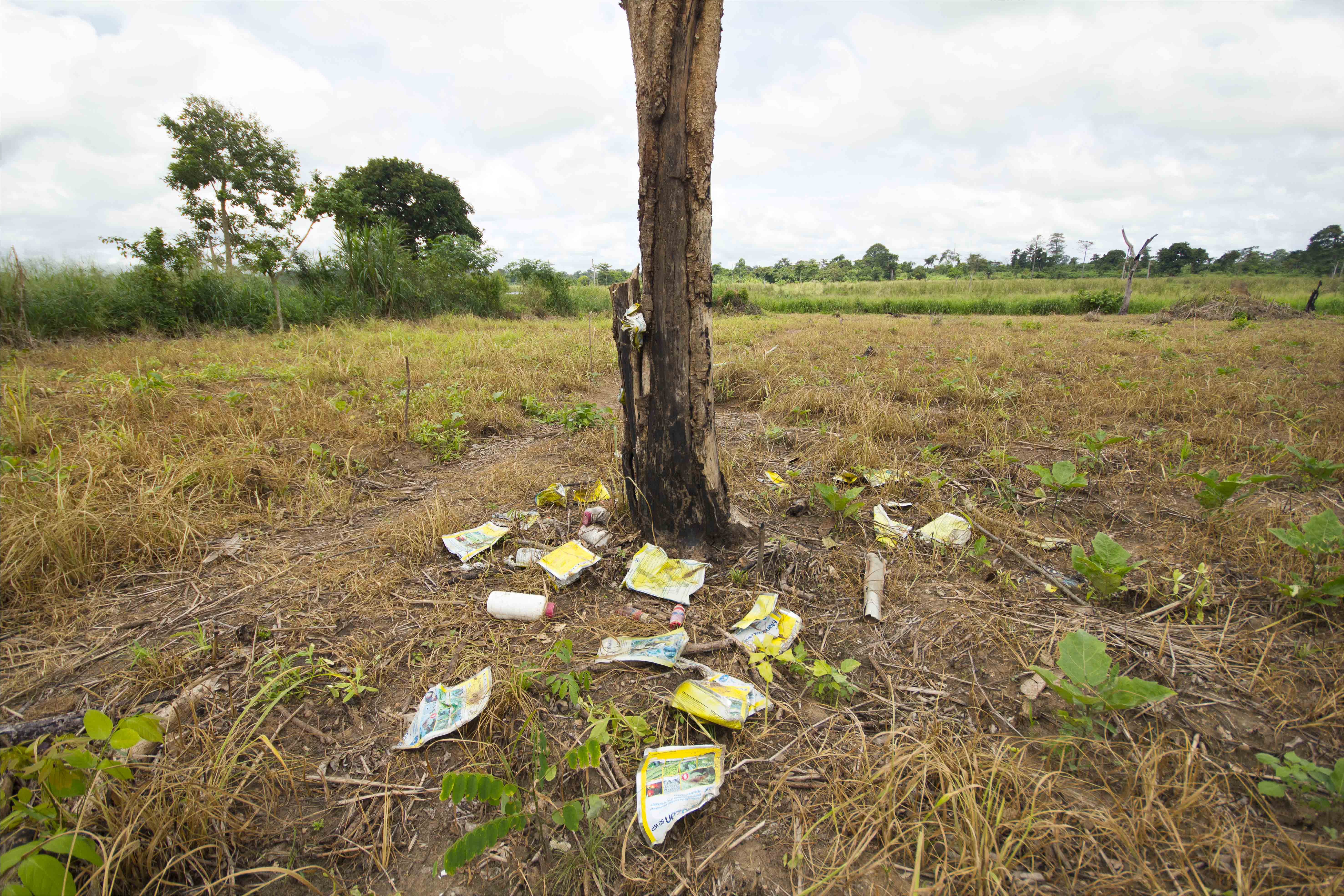 Le marché des pesticides en plein essor