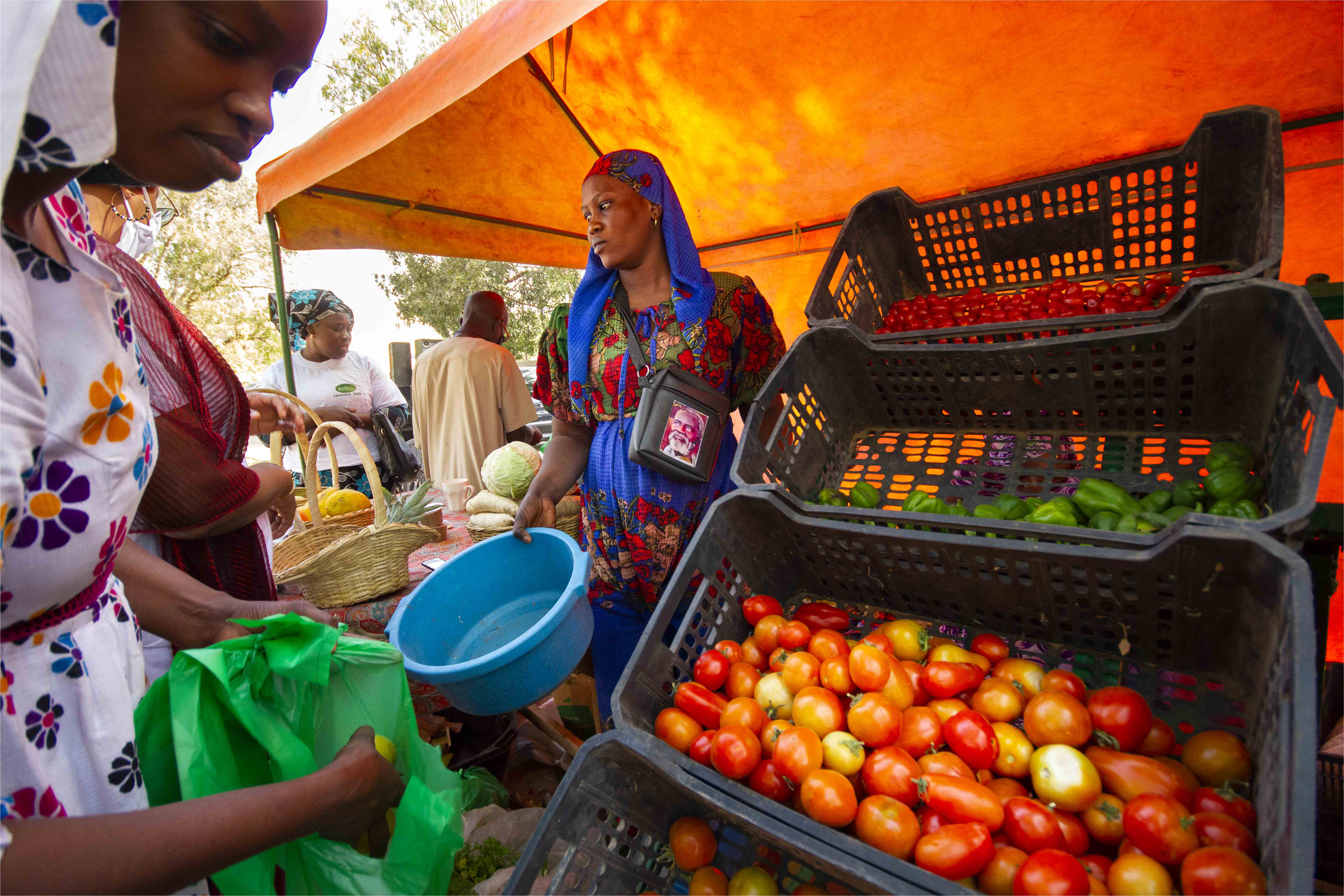 Risque sanitaire majeur