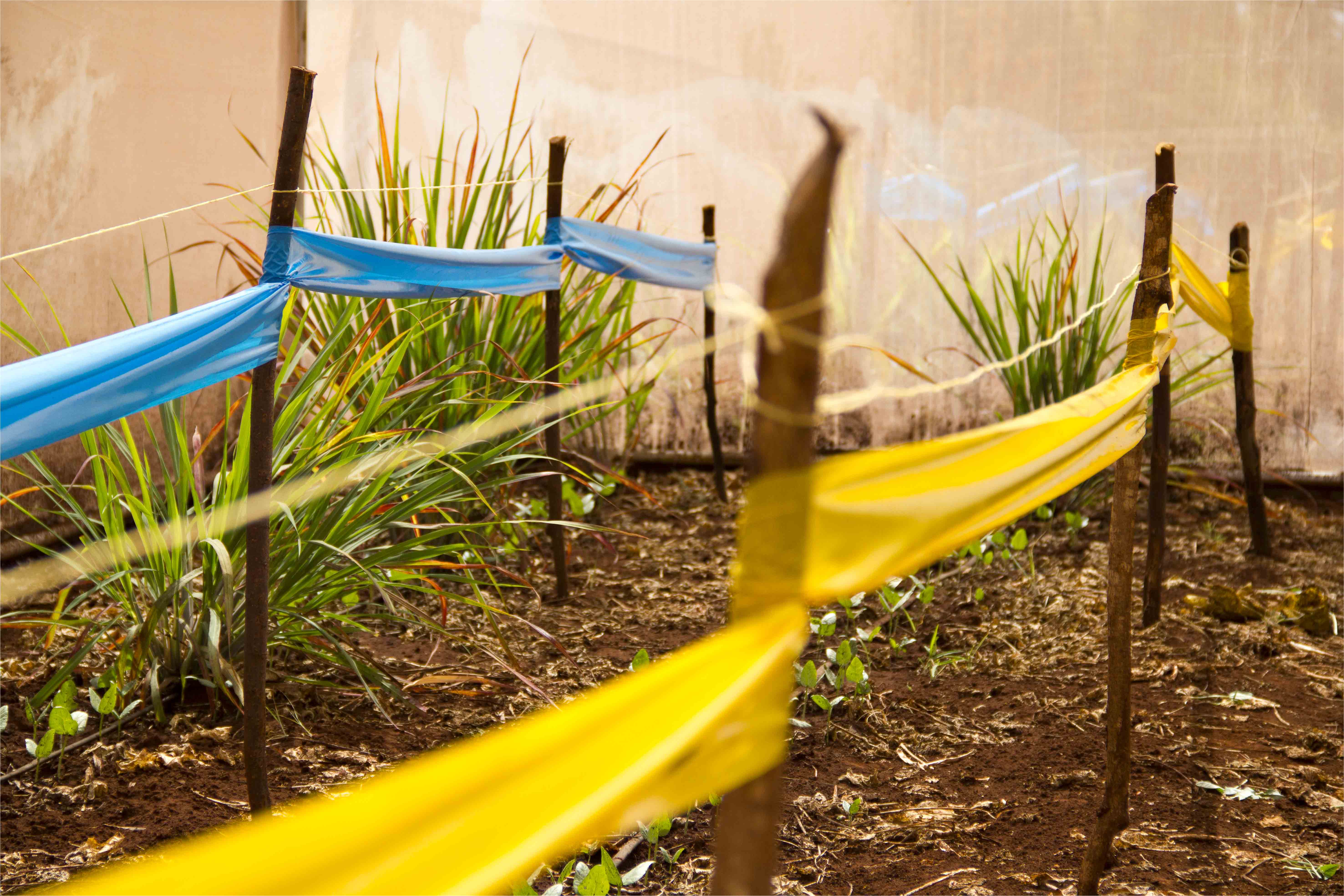 La technologie des filets