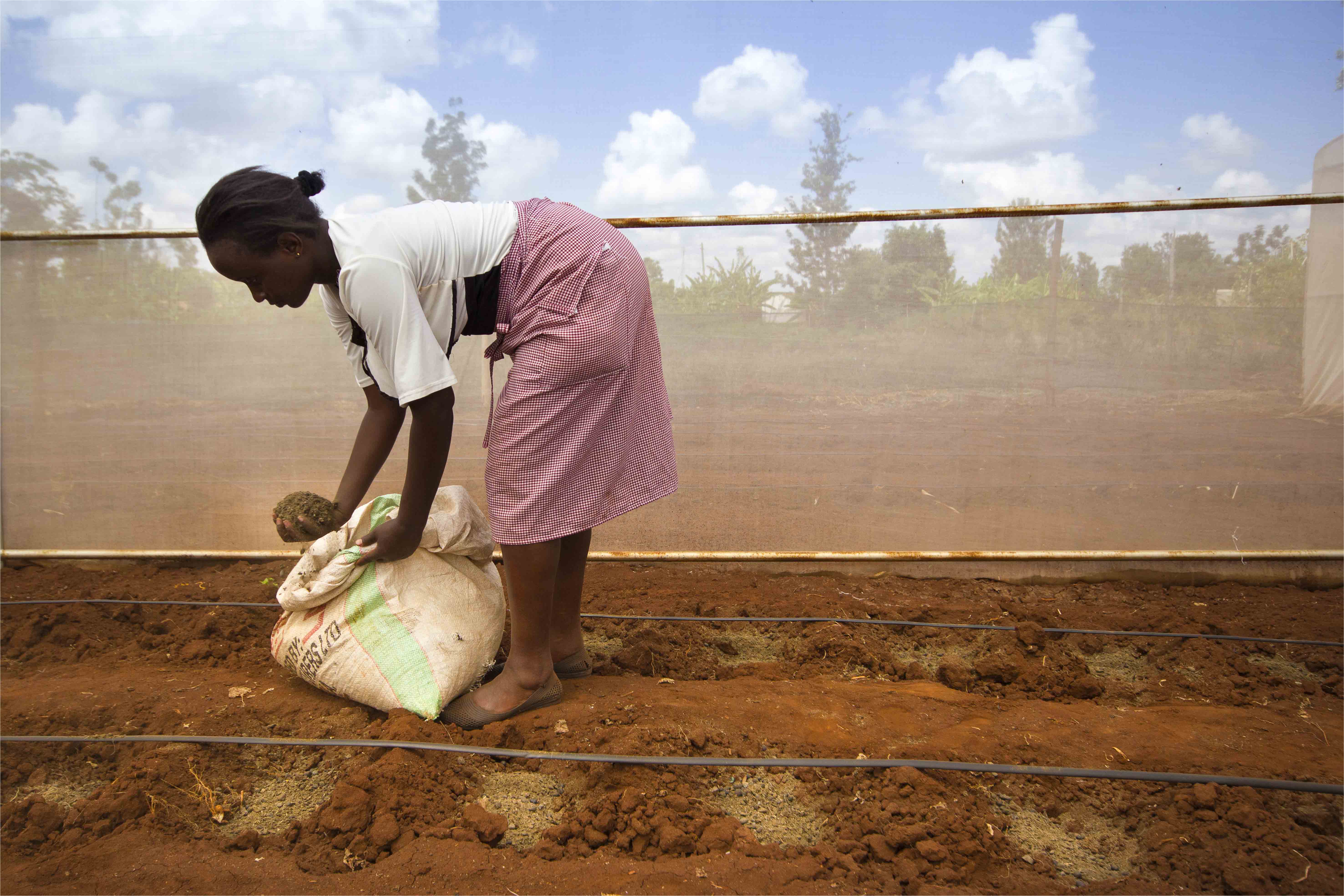 La technologie des filets