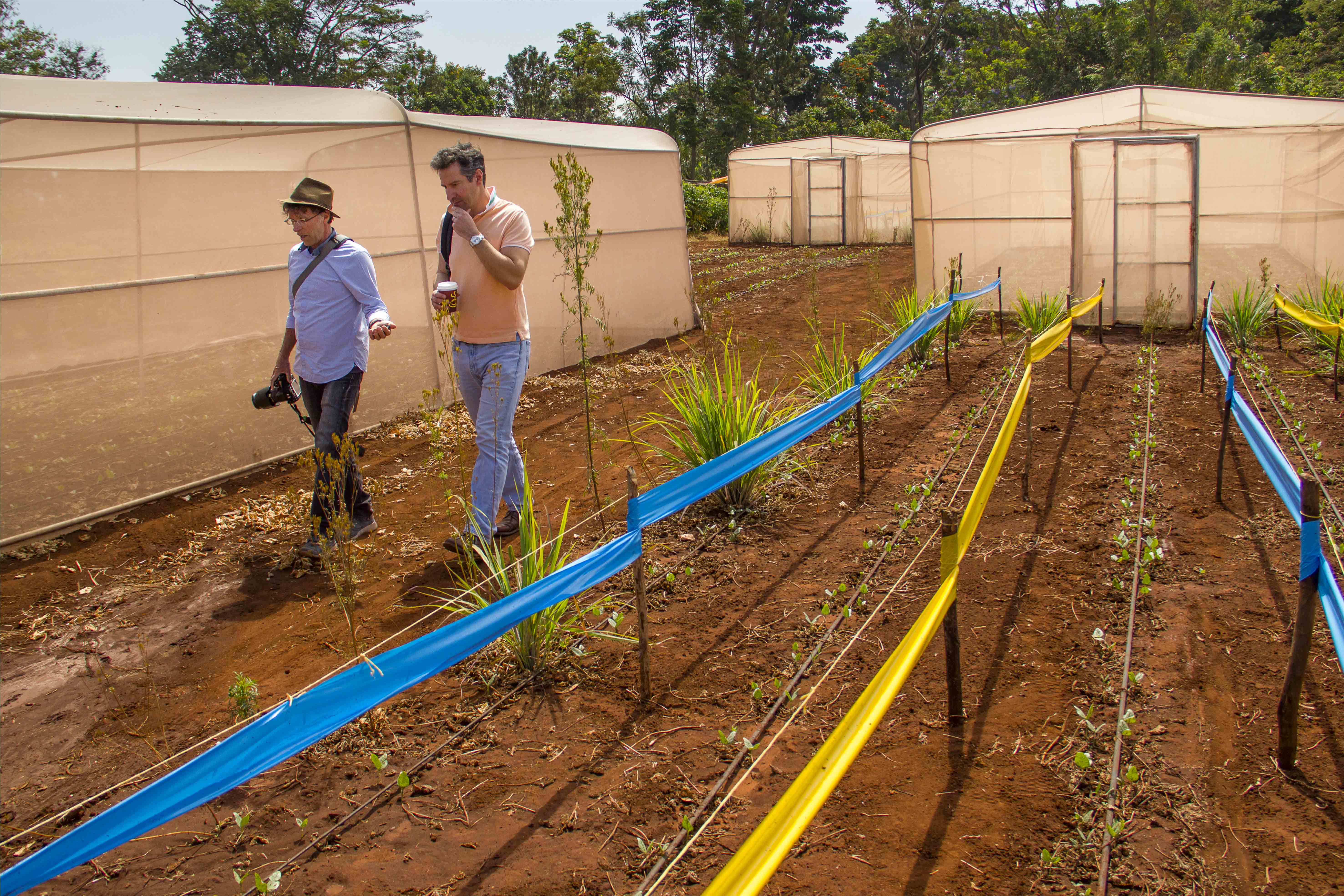 La technologie des filets