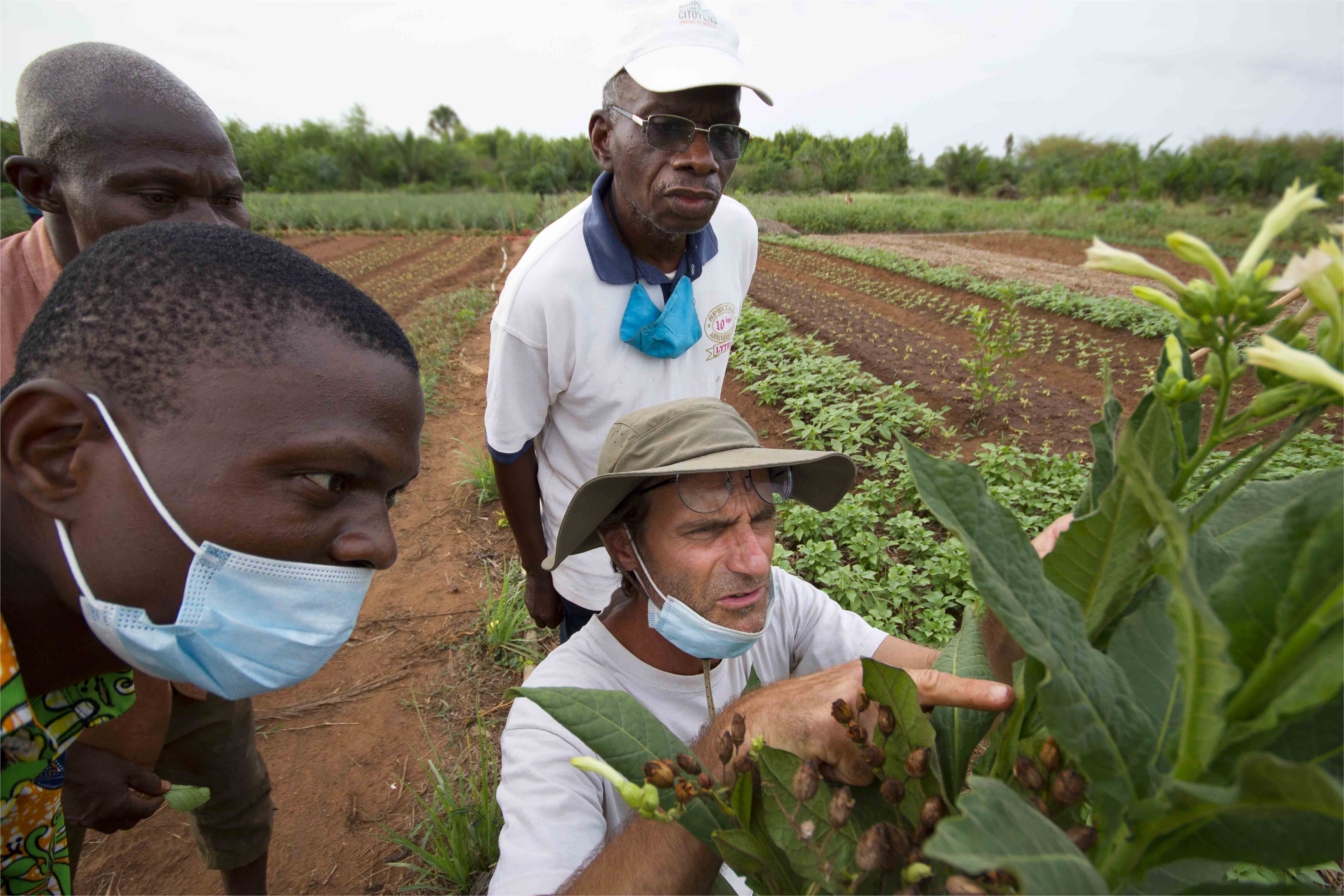 Protéger sans empoisonner