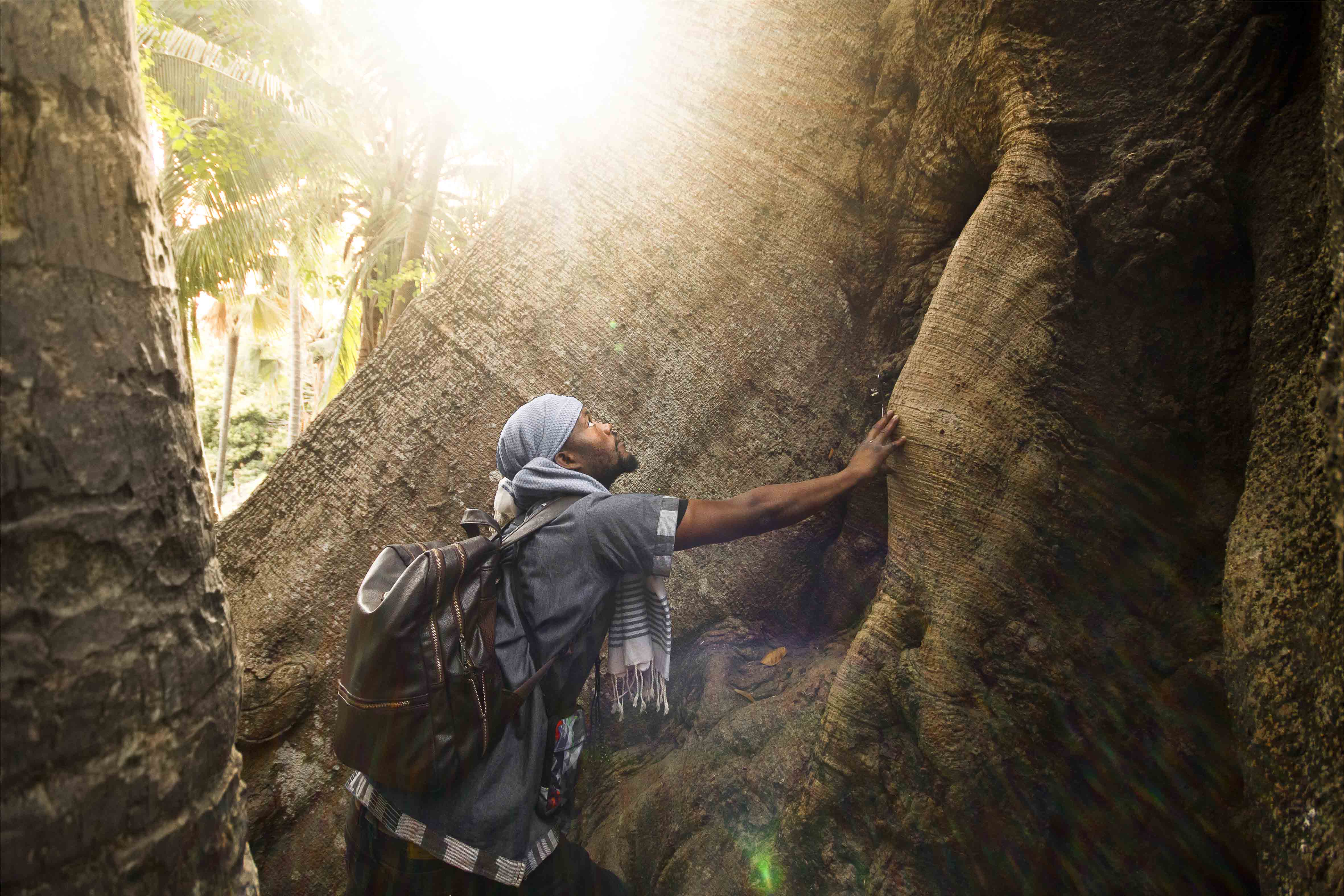 Un allié à l'ombre bienveillante