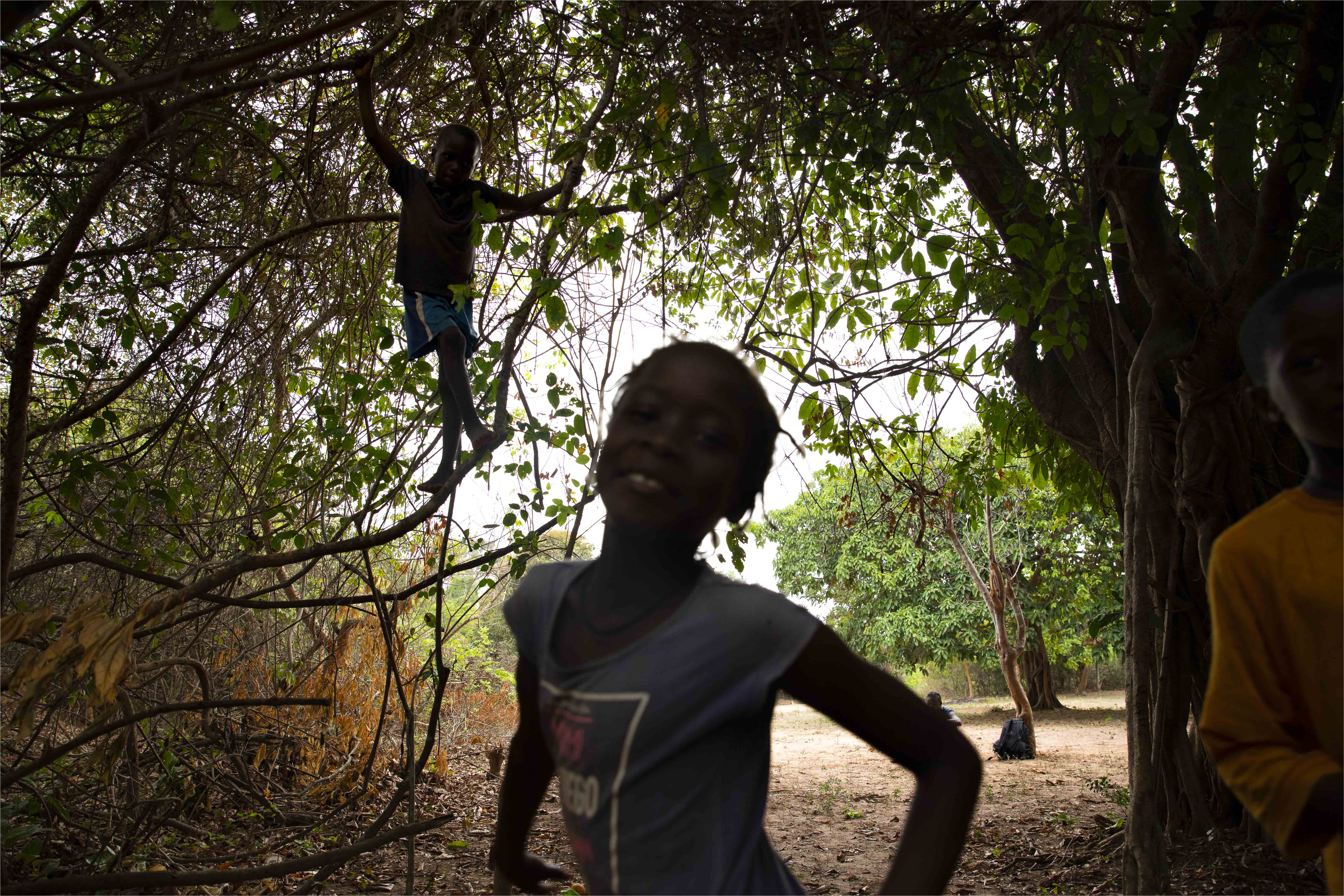 Un allié à l'ombre bienveillante