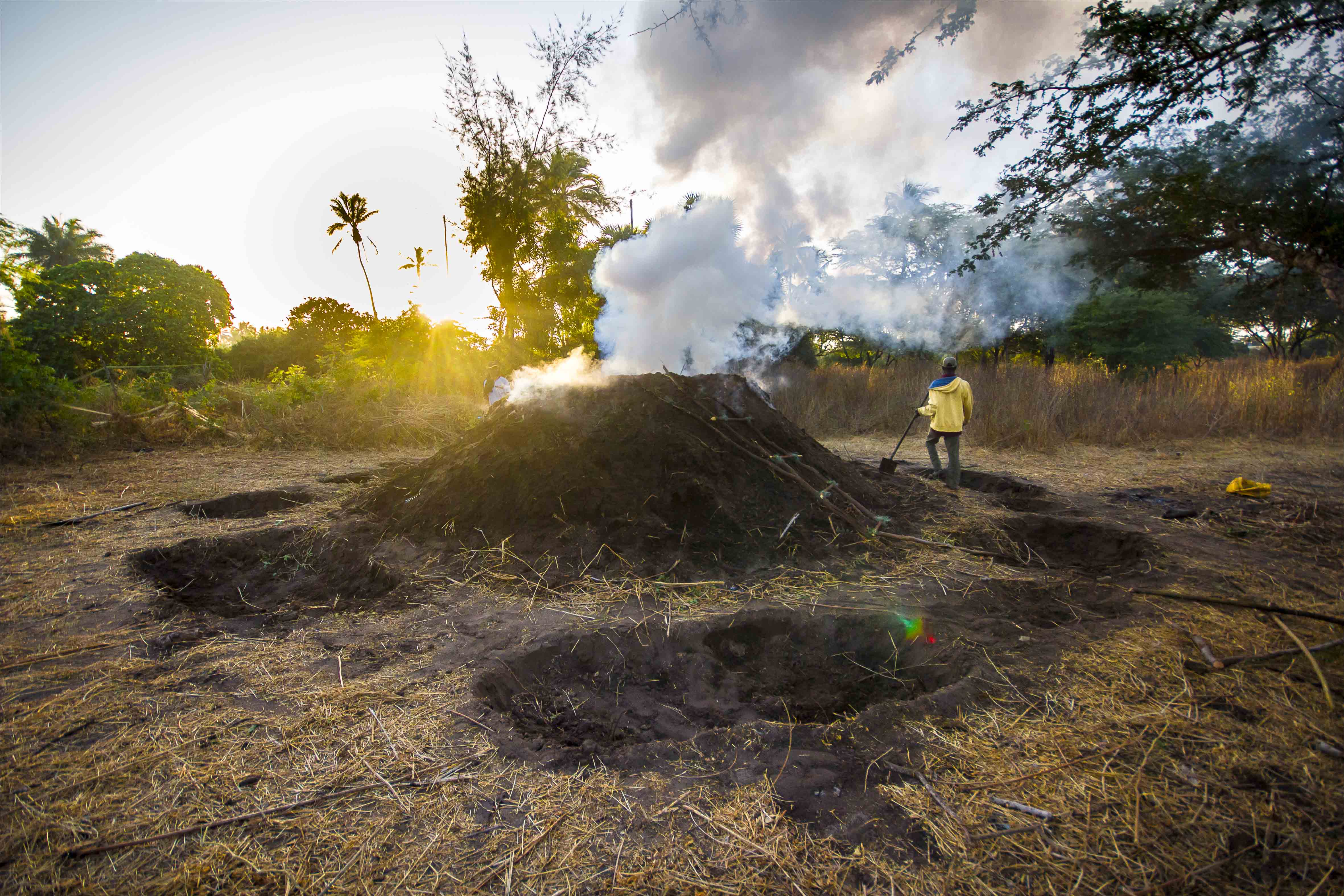 L'or noir du charbon