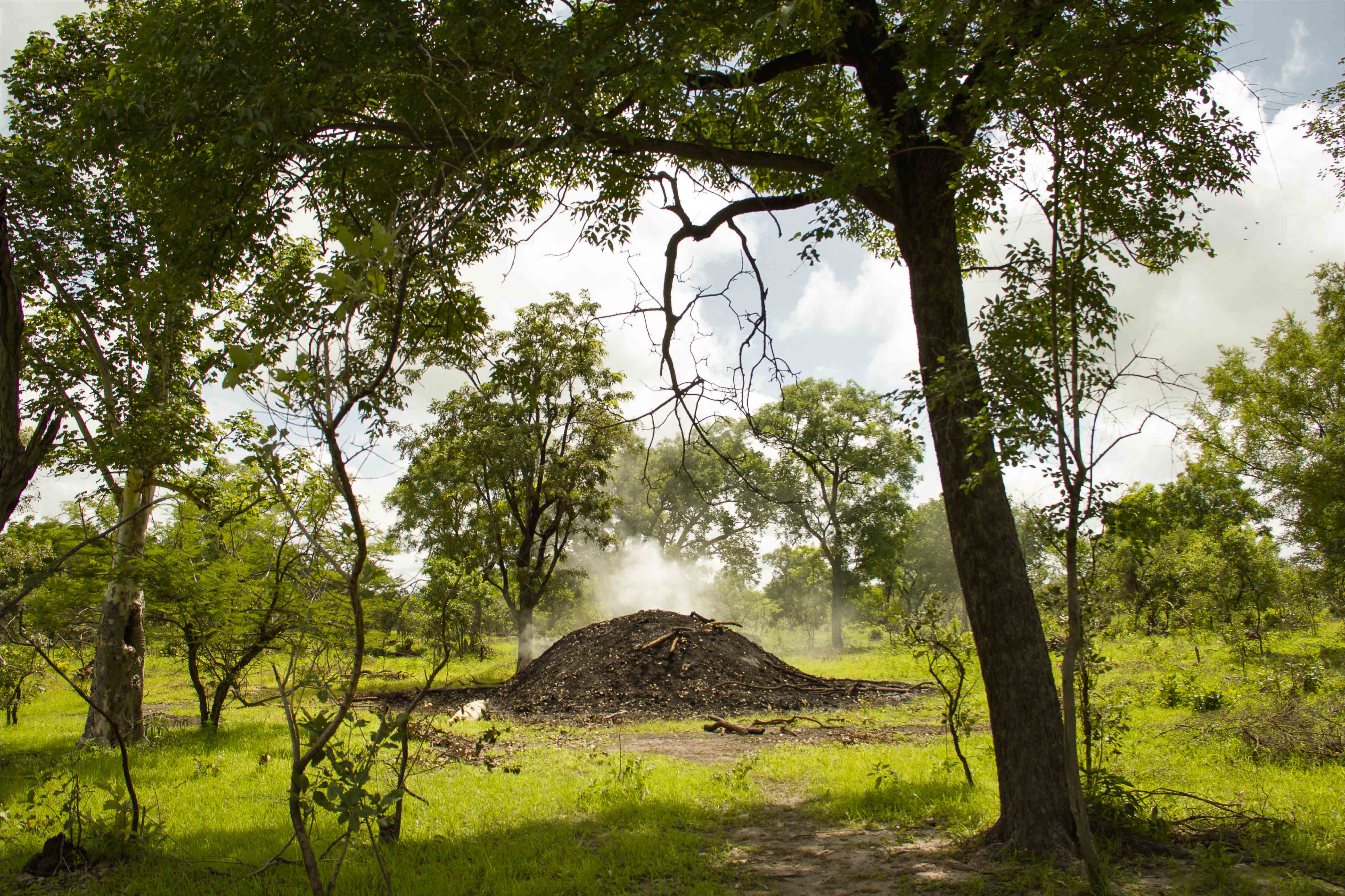 L'or noir du charbon