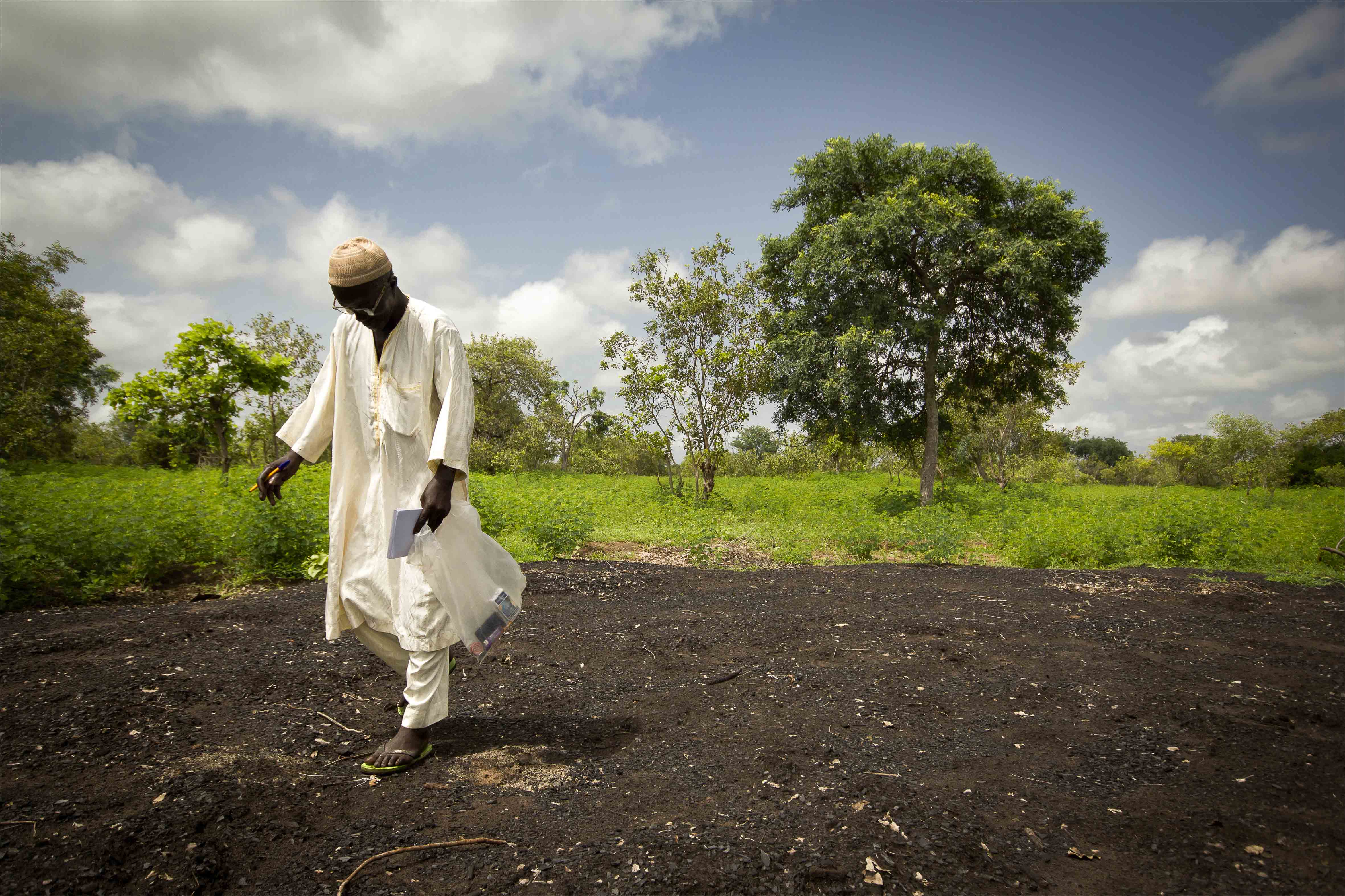 L'or noir du charbon
