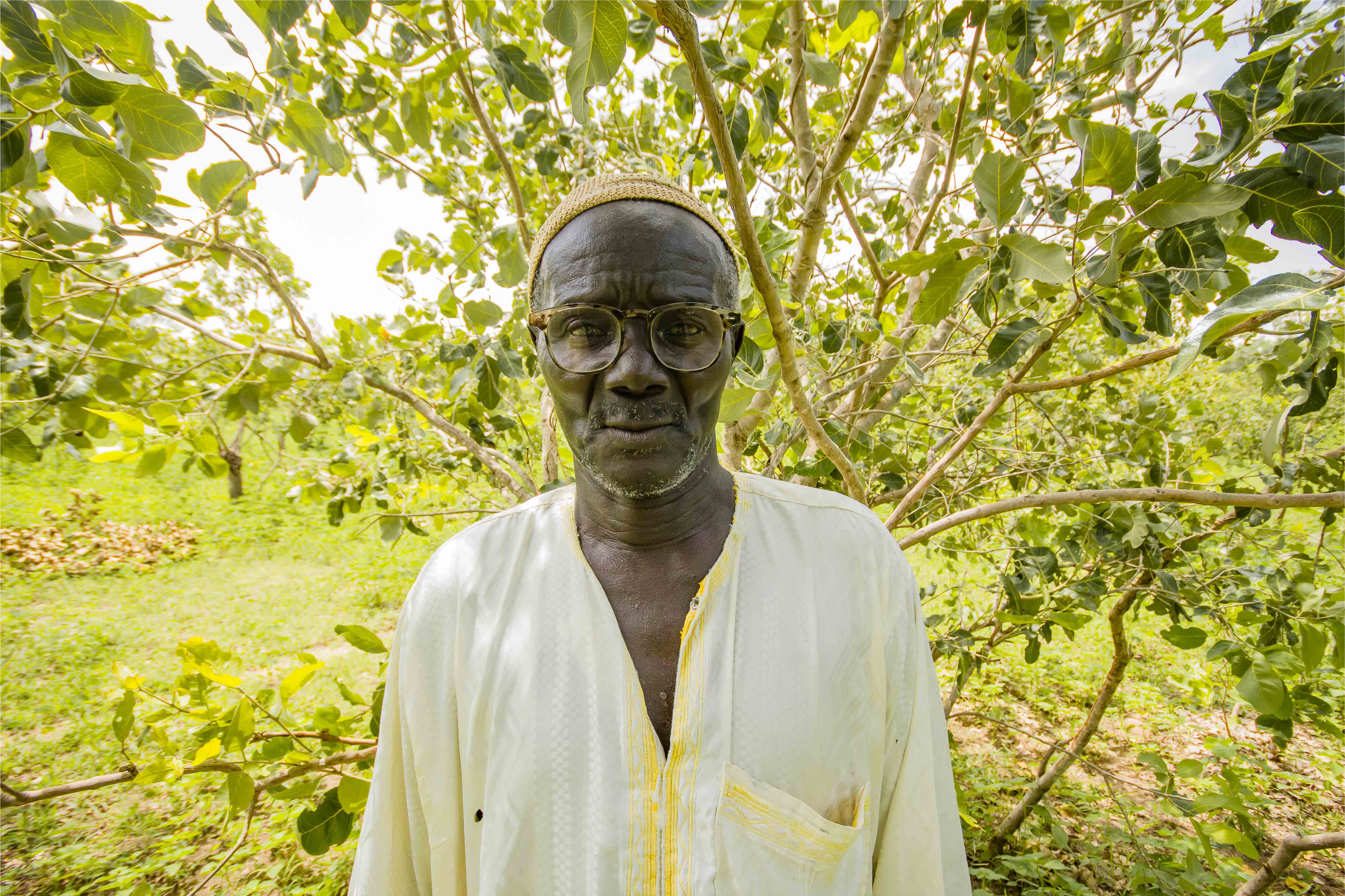 Les gardiens de la forêt